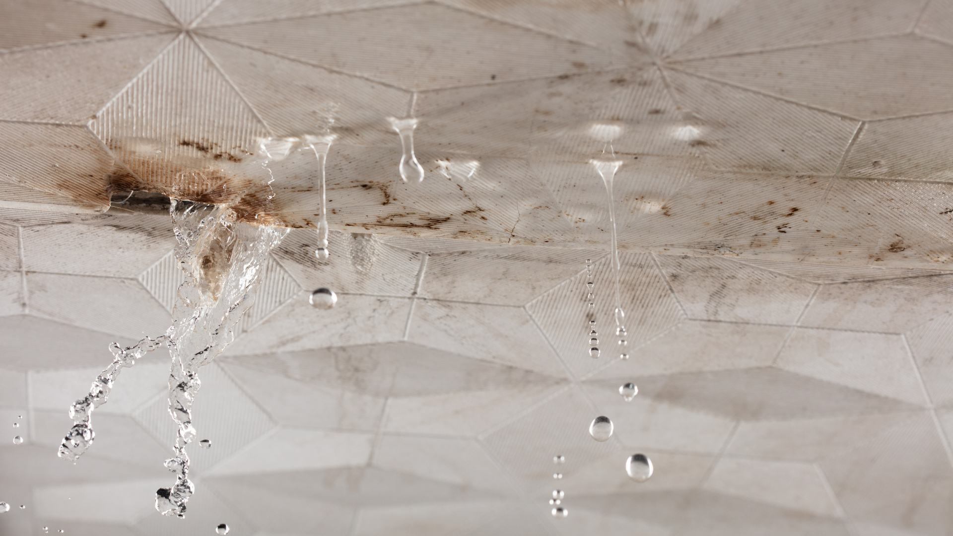 What Insurance Covers Water Leaks in Rhode Island Homes?