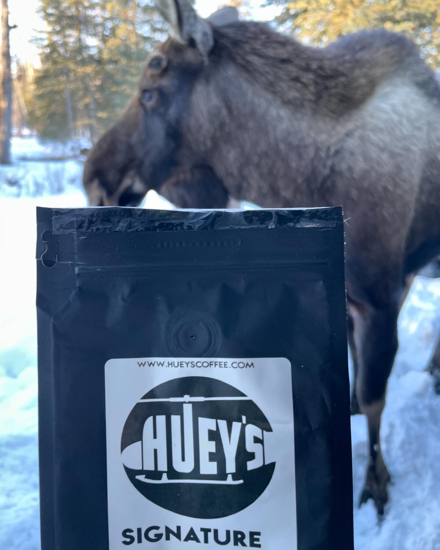 Huey&rsquo;s Coffee in Alaska?! Have a great weekend everyone