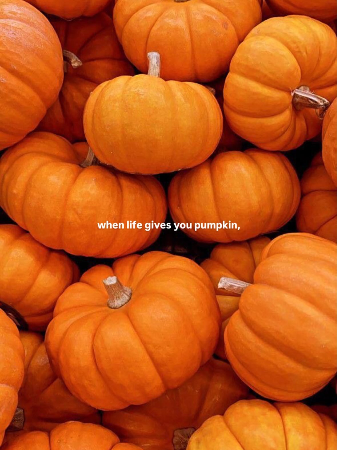 Our latest obsession ☕️☕️☕️

Stop by today and grab one of our fall favorites! We can&rsquo;t wait to see you! 🌟

#fallmenu #pumpkinszn #coffeeshops #drinkswithfriends #pumkinspice