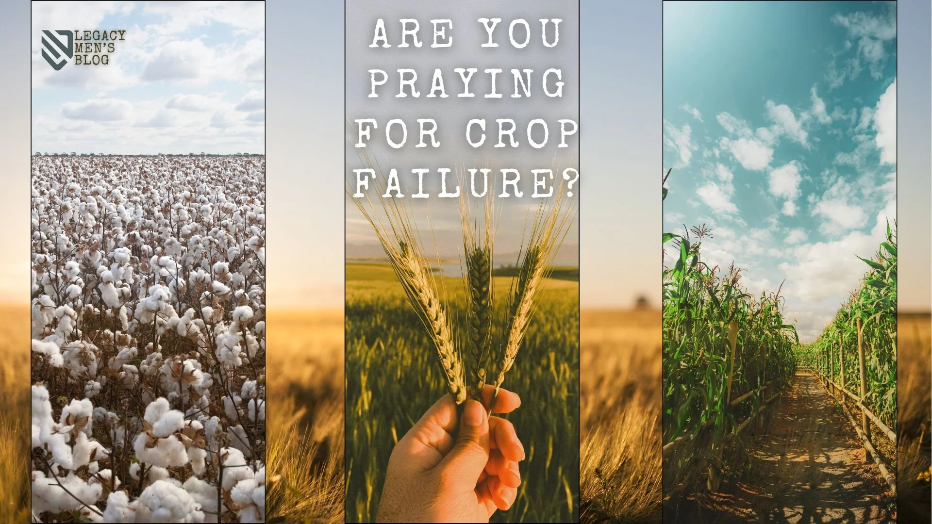 Are You Praying for Crop Failure?