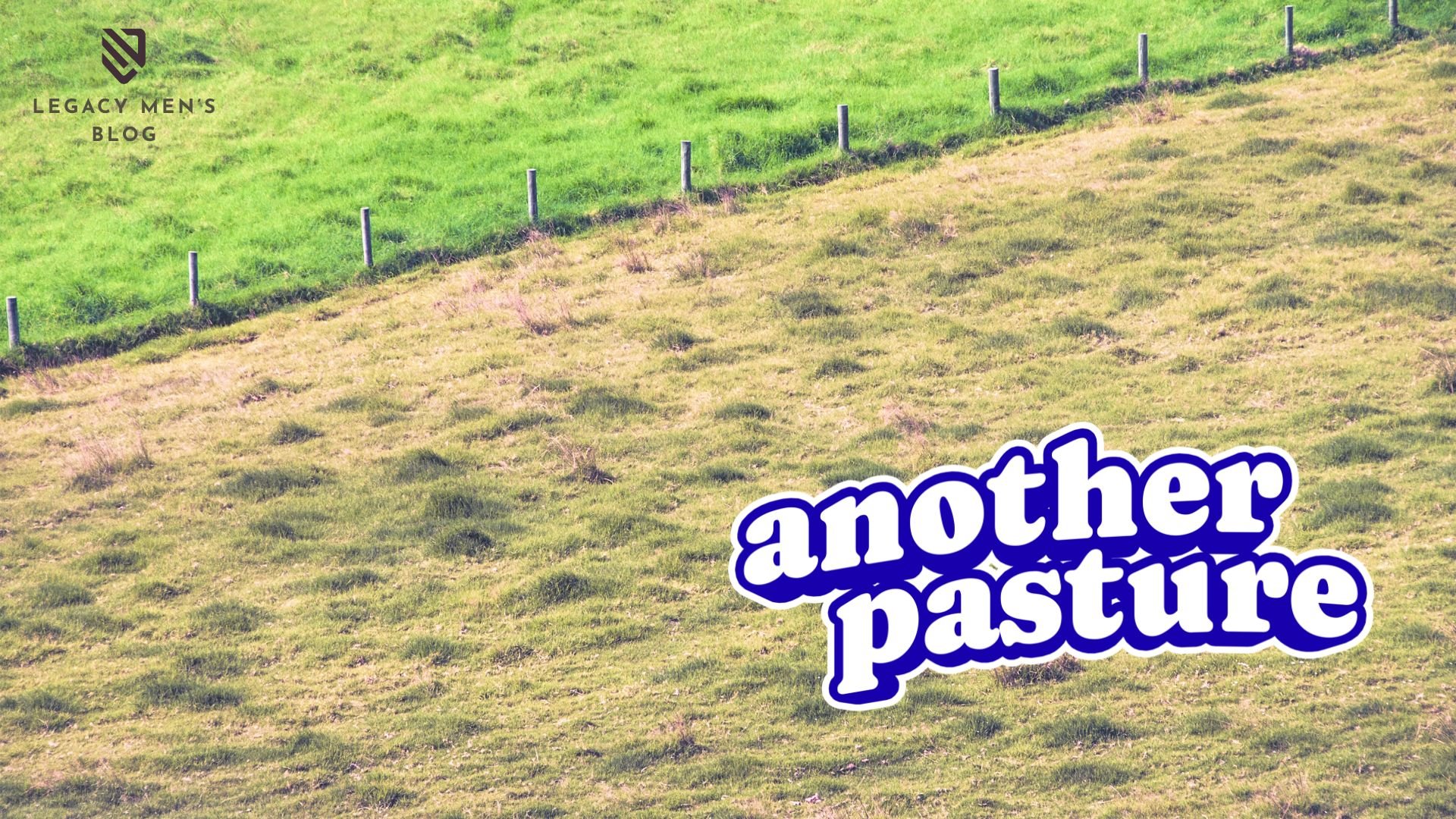 Another Pasture