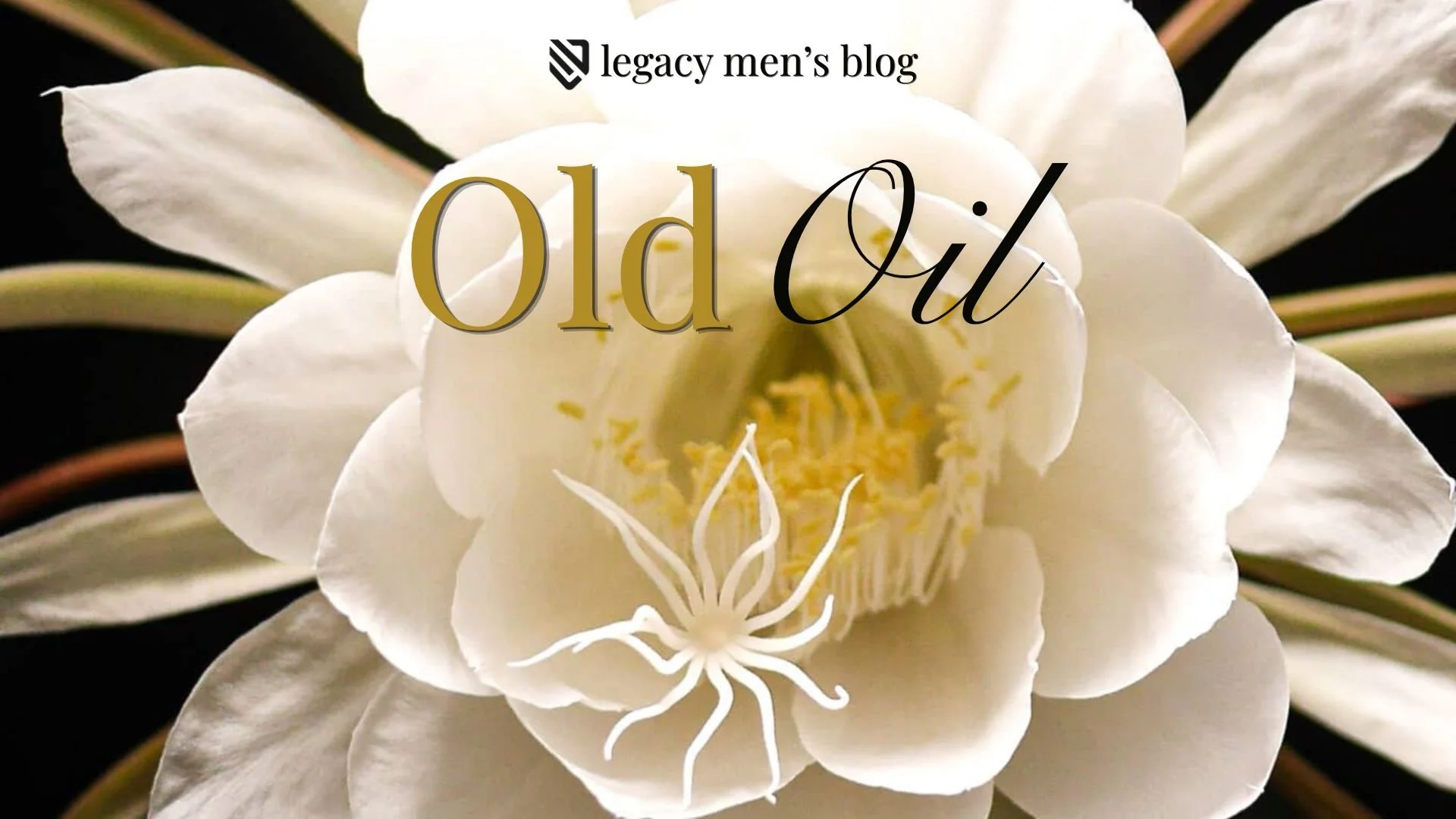 Old Oil