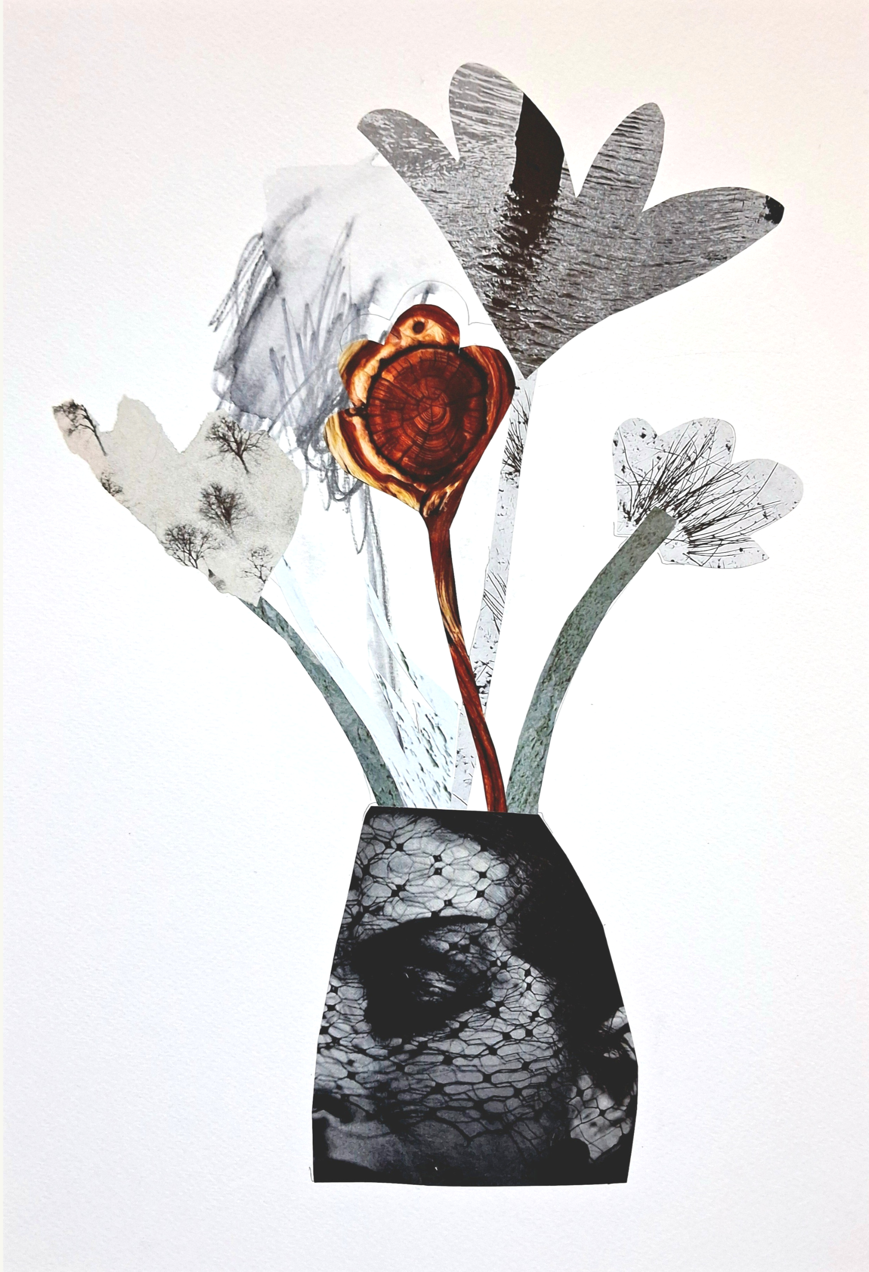 Wallflower II