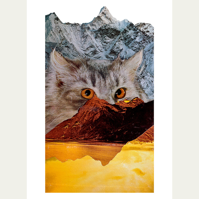 A collage of a mountain landscape with a large cat's head blending into the scene, featuring mountains, water, and the cat's eyes.