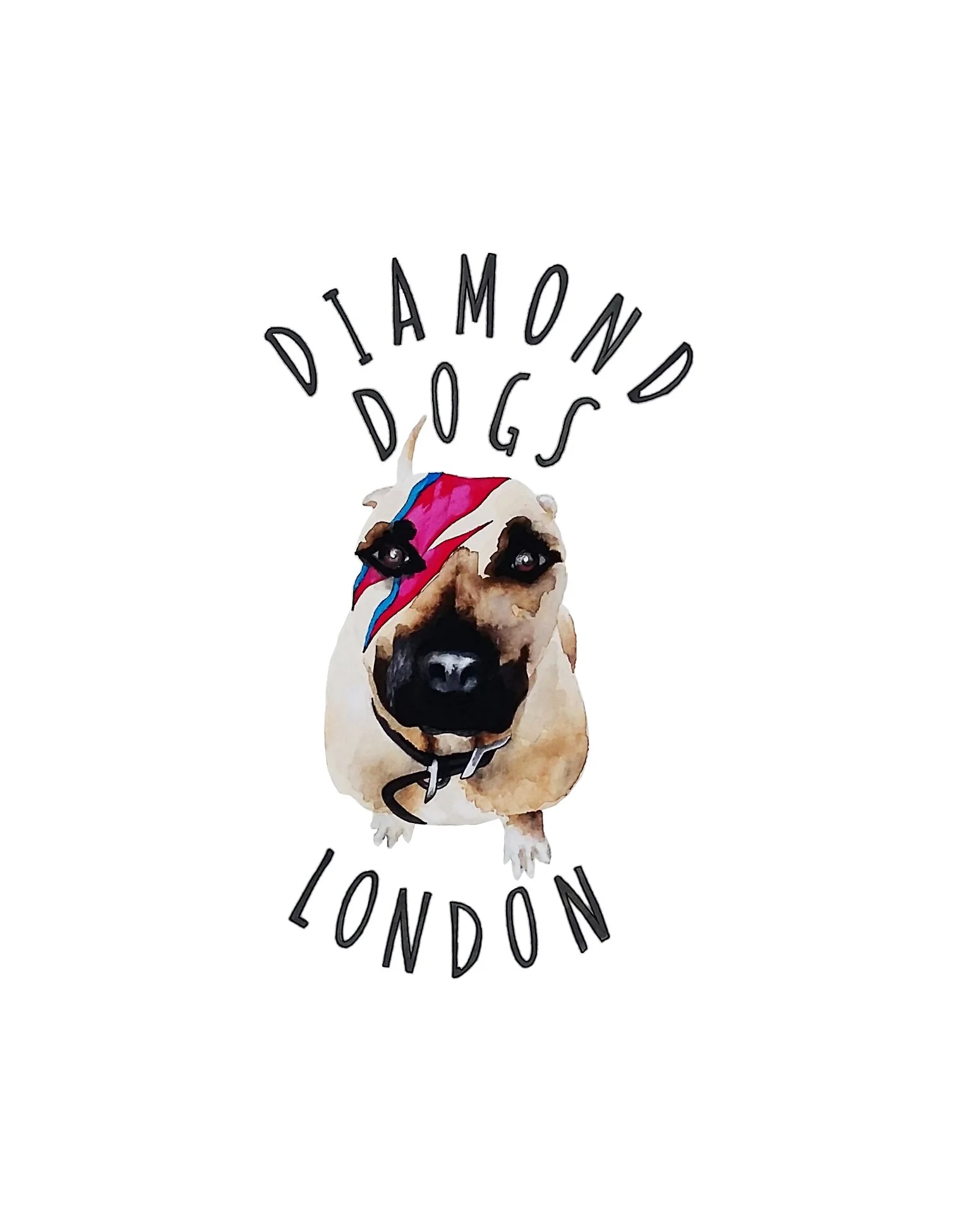 diamond dogs 2016.jpg