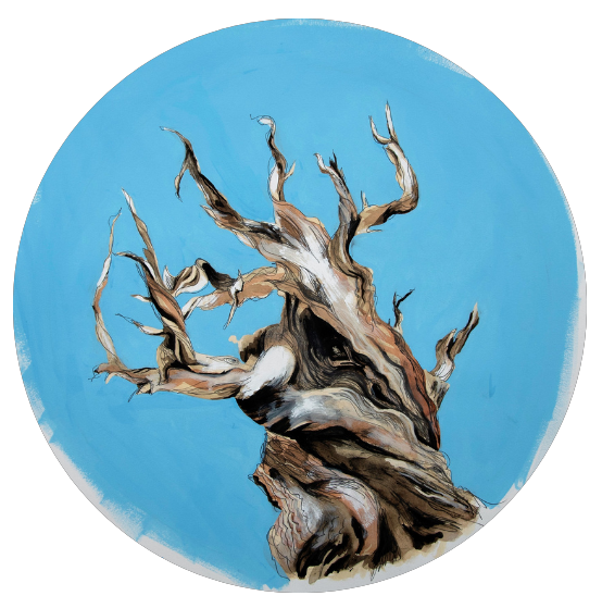 CD label crop BGR.png
