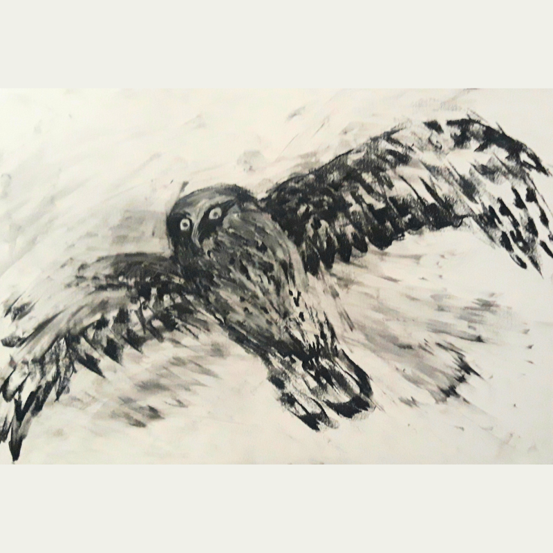 Black and white charcoal drawing of a bird in flight with outstretched wings and piercing eyes.