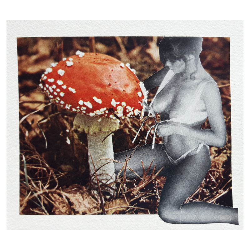 A surreal collage featuring a nude woman in black and white, with a red mushroom and forest ground background.