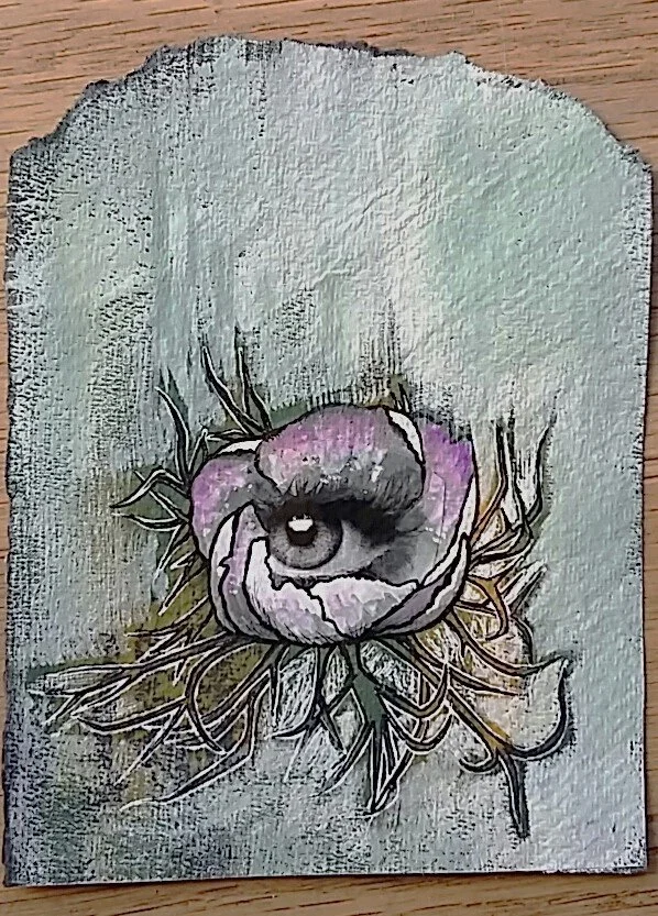 eye sea 4.jpg