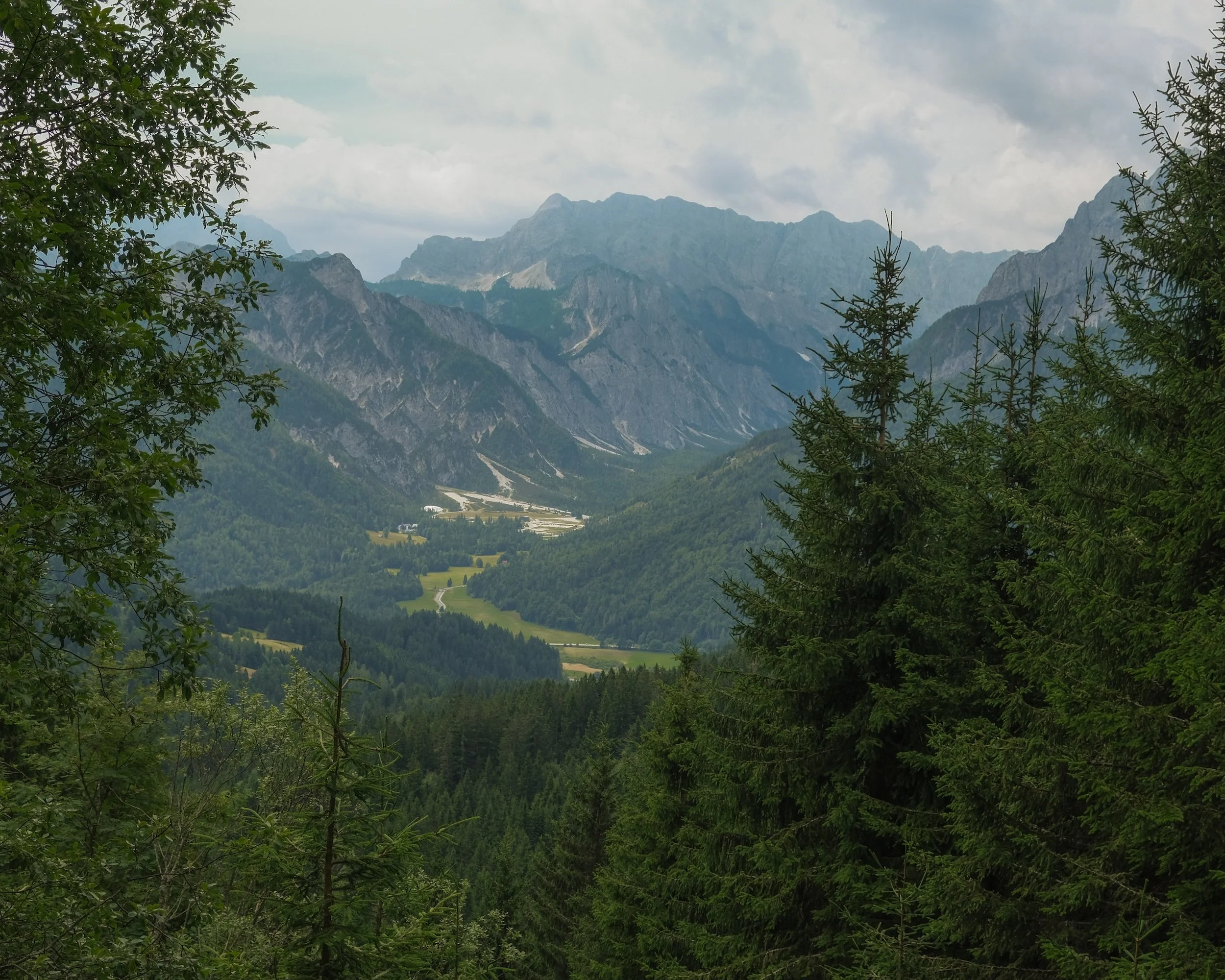 MonteForno_2025-21.jpg