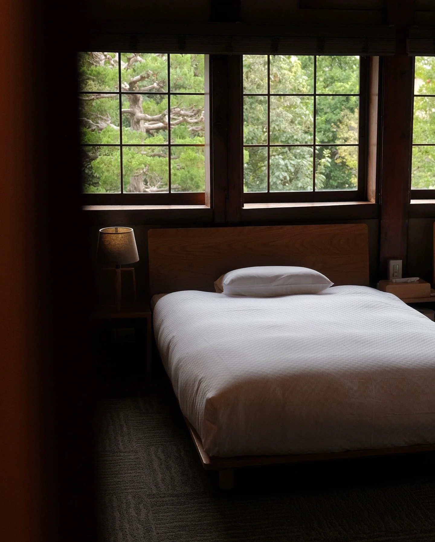 Japan archives to cure the January blues 🦌🍜🍃🍶🍵