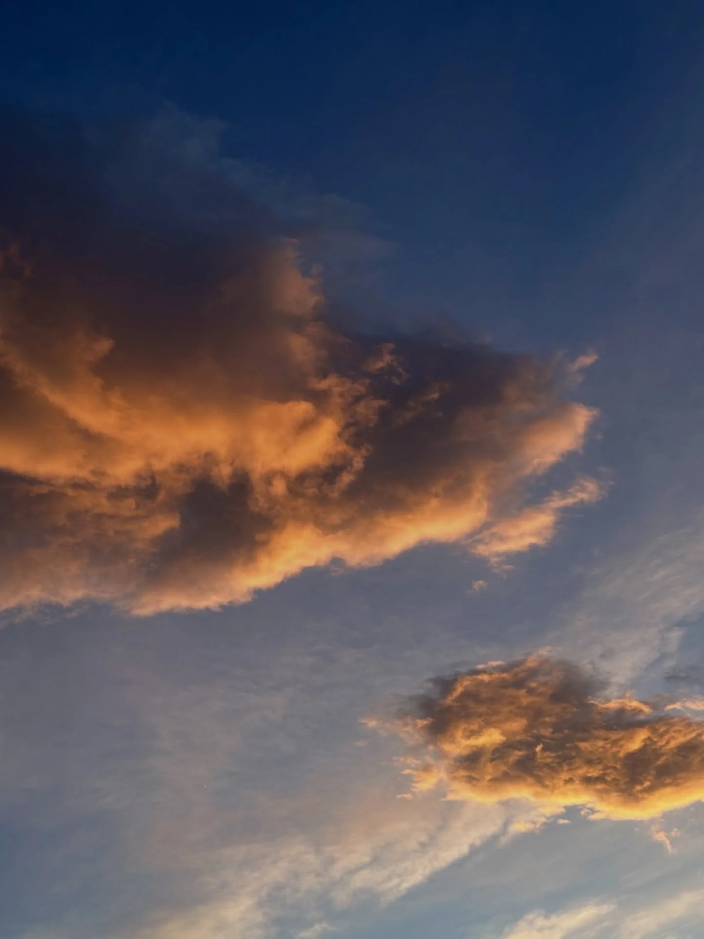 A lovely little spring dump 💐☕️☁️📖🧺