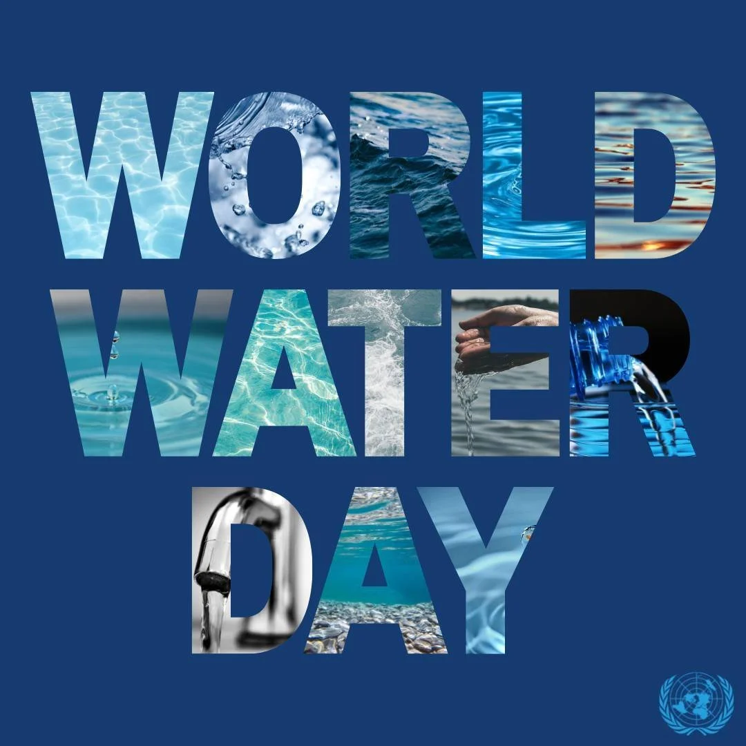 Text reads 'World Water Day' with images of water in various forms inside the letters and the United Nations logo in the bottom right corner.