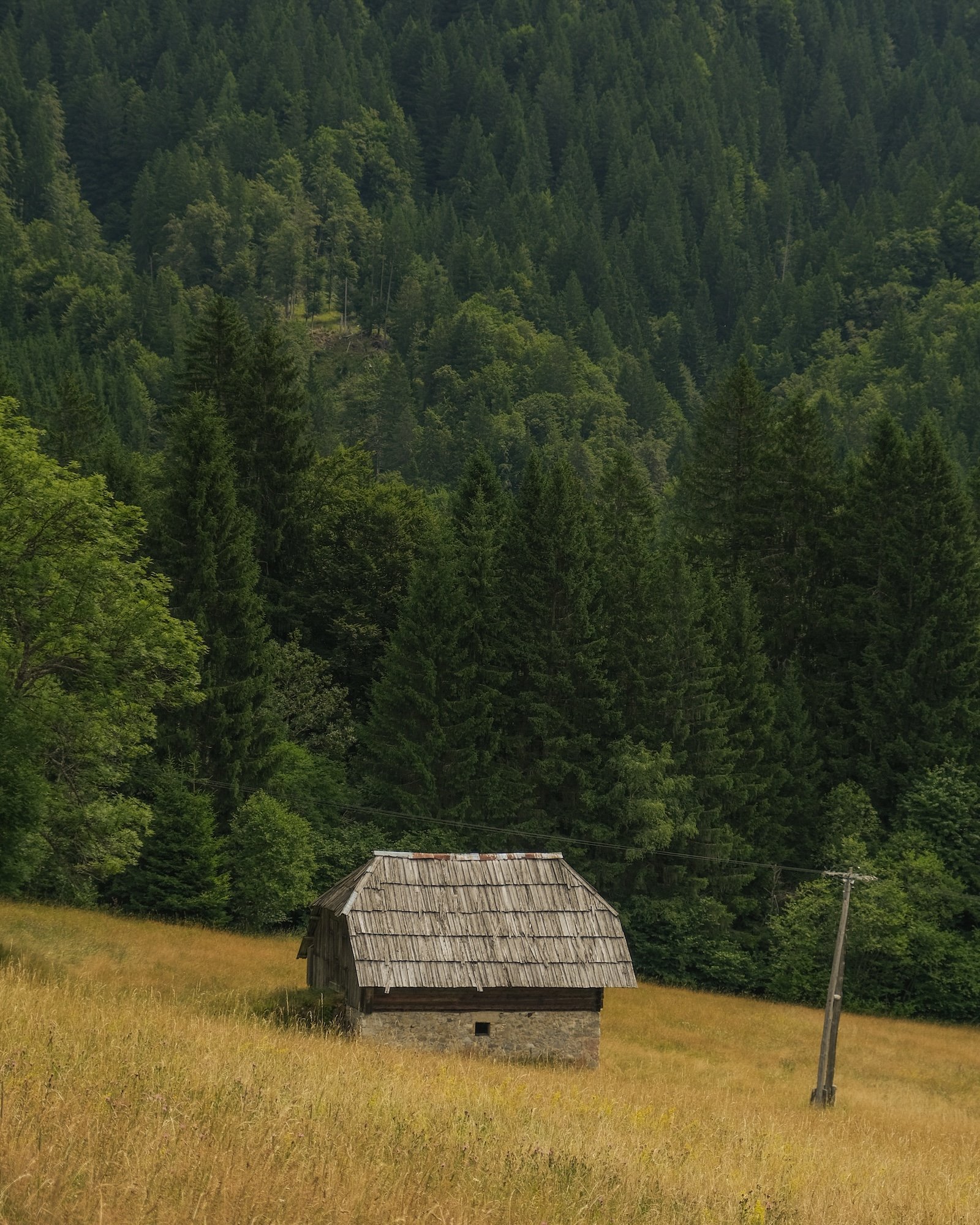 MonteForno_2025-11.jpg
