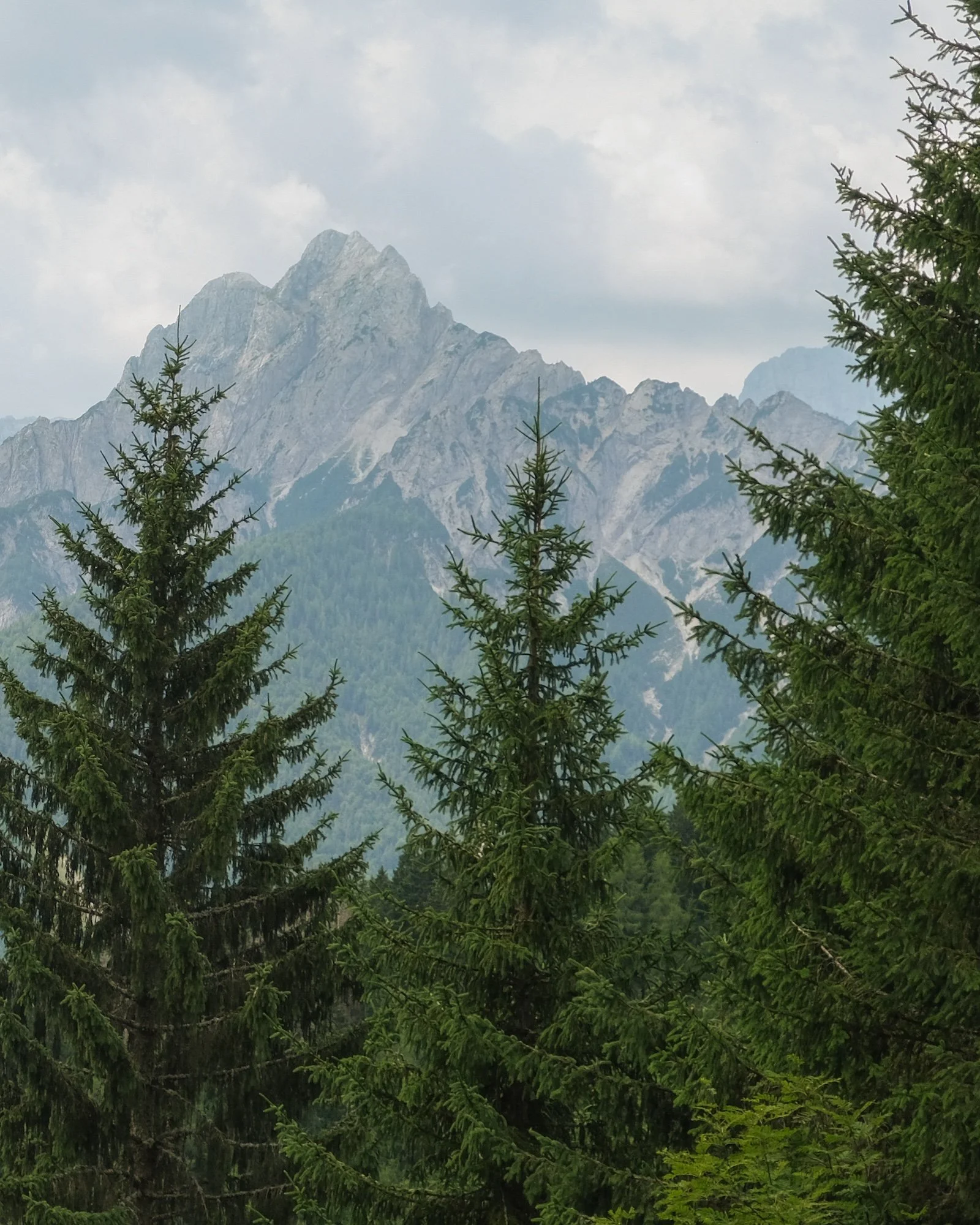 MonteForno_2025-19.jpg