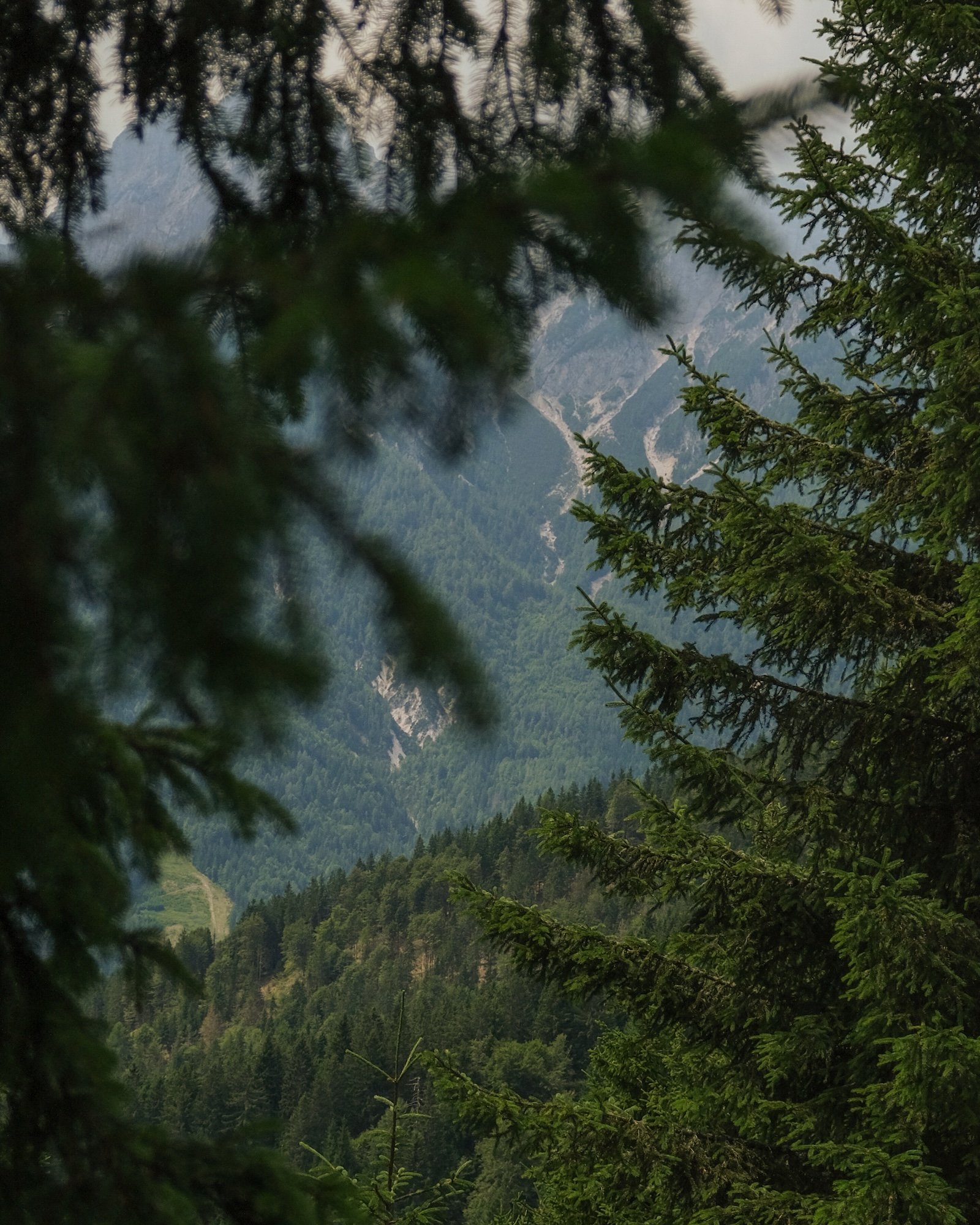 MonteForno_2025-23.jpg