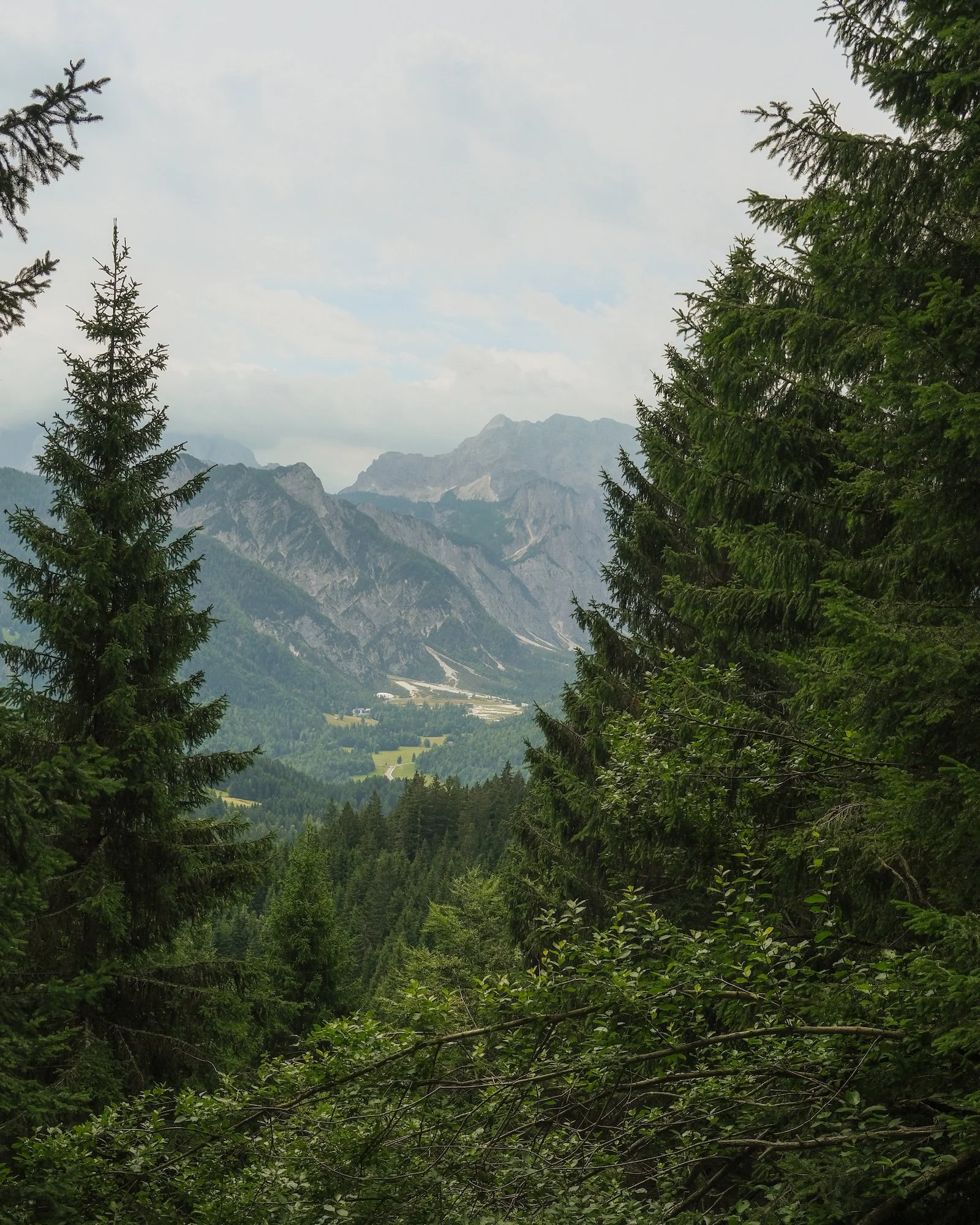 MonteForno_2025-14.jpg
