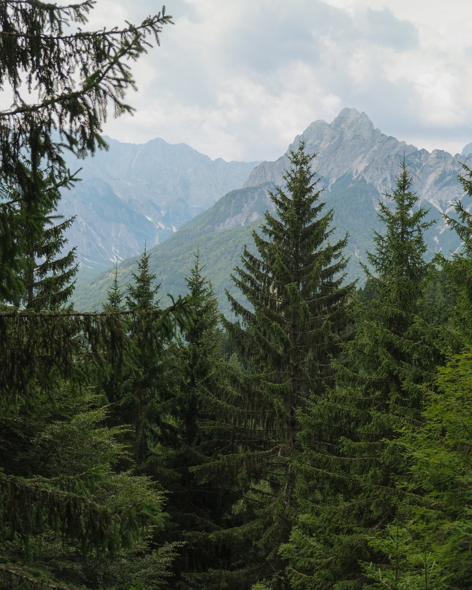 MonteForno_2025-20.jpg