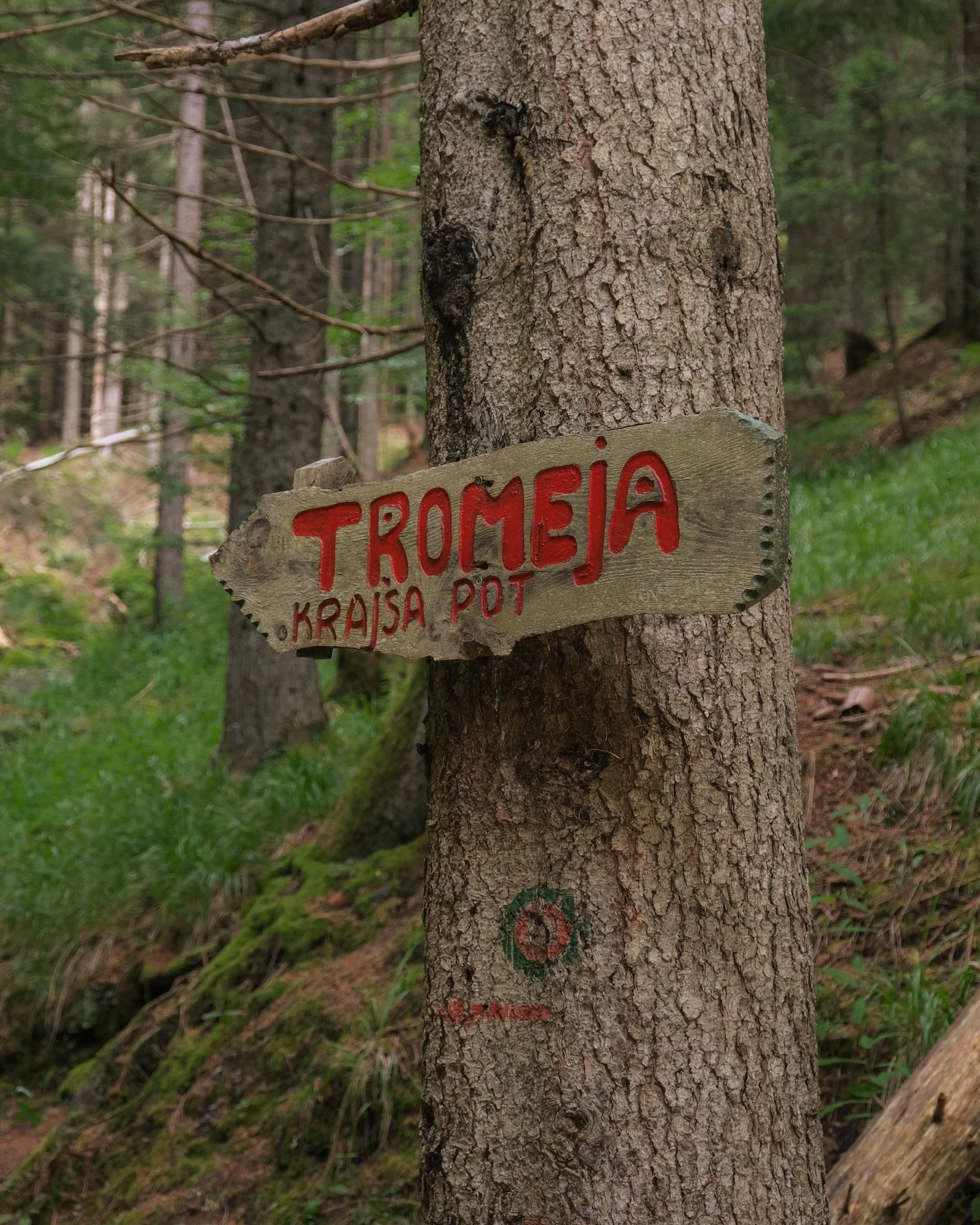 MonteForno_2025-13.jpg