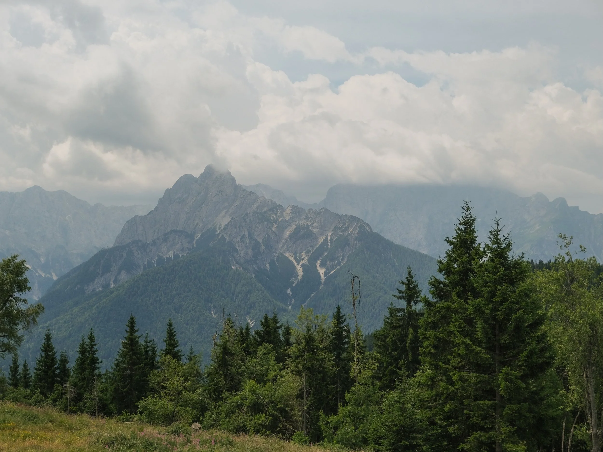 MonteForno_2025-26.jpg