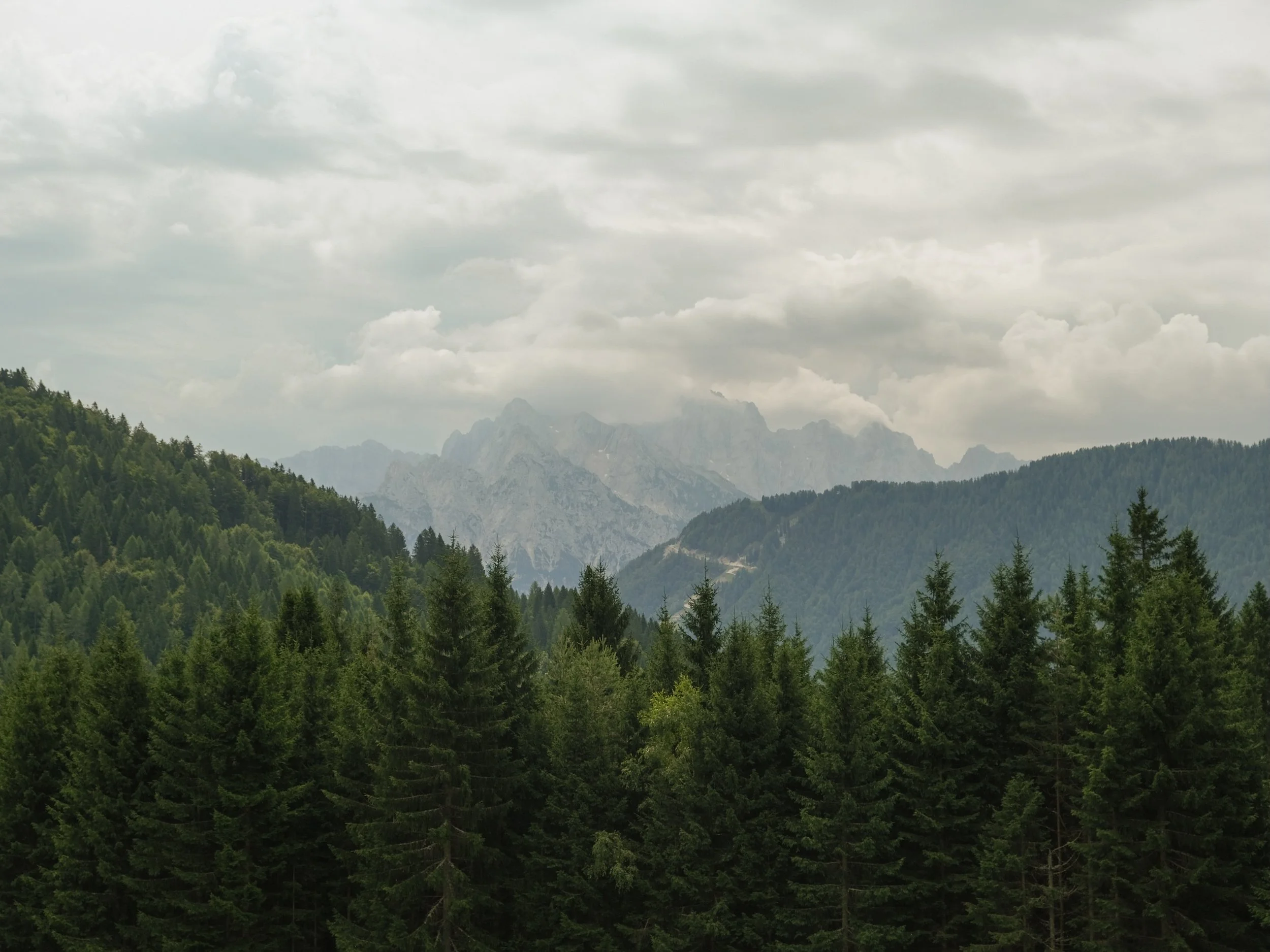 MonteForno_2025-10.jpg