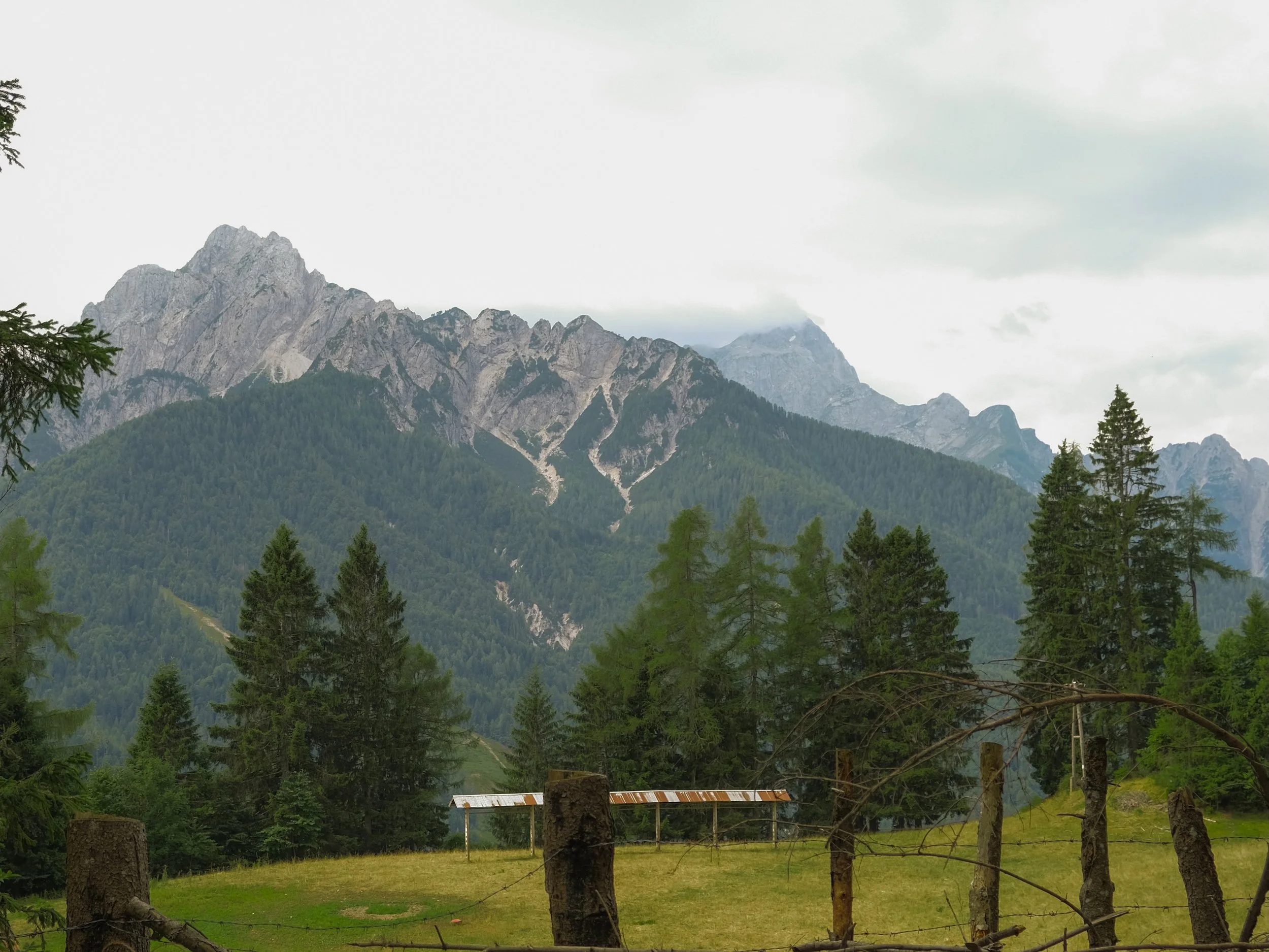 MonteForno_2025-03.jpg