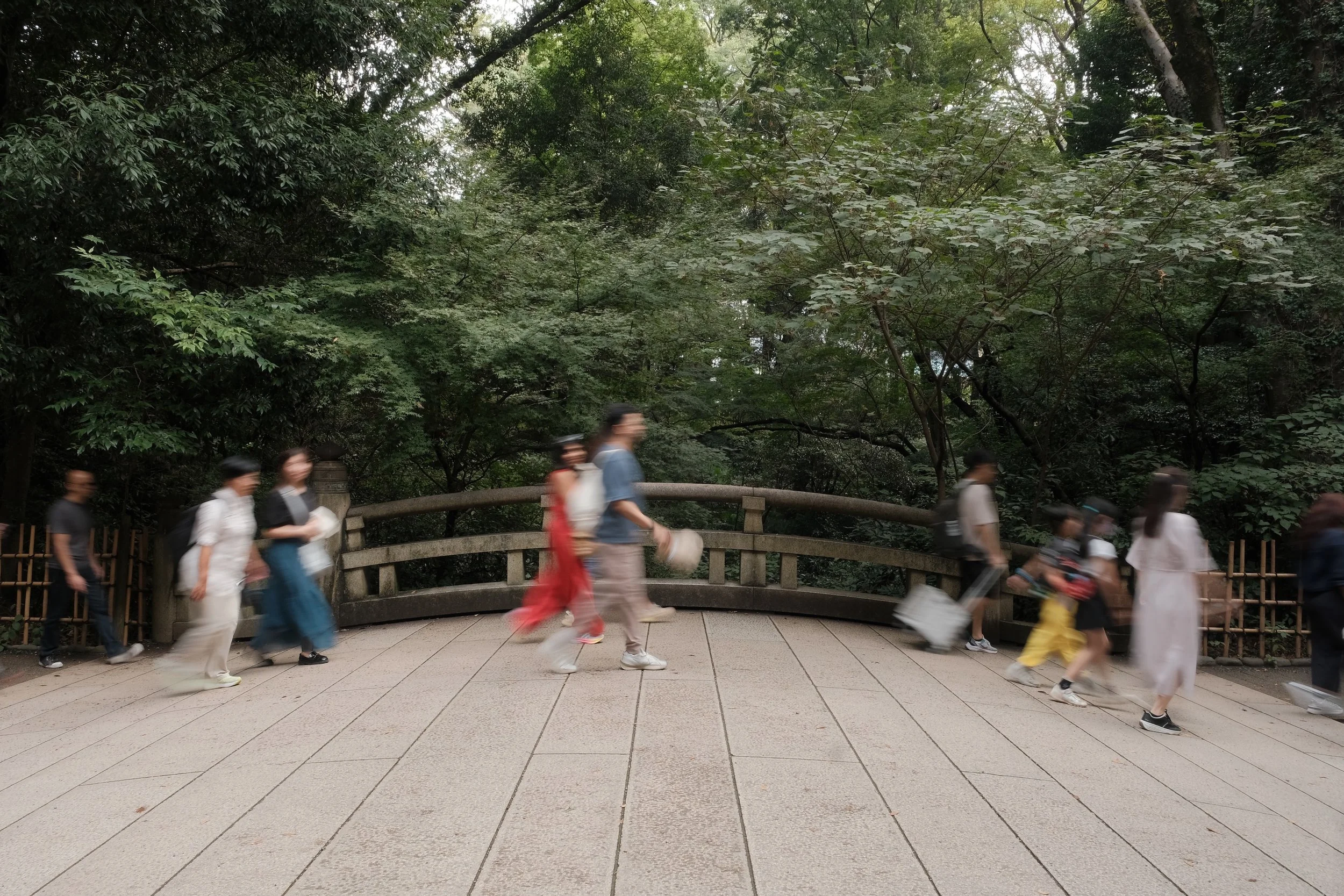 People walking along a paved path in a lush, green forest, some carrying bags and suitcases, with motion blur indicating they are in motion.