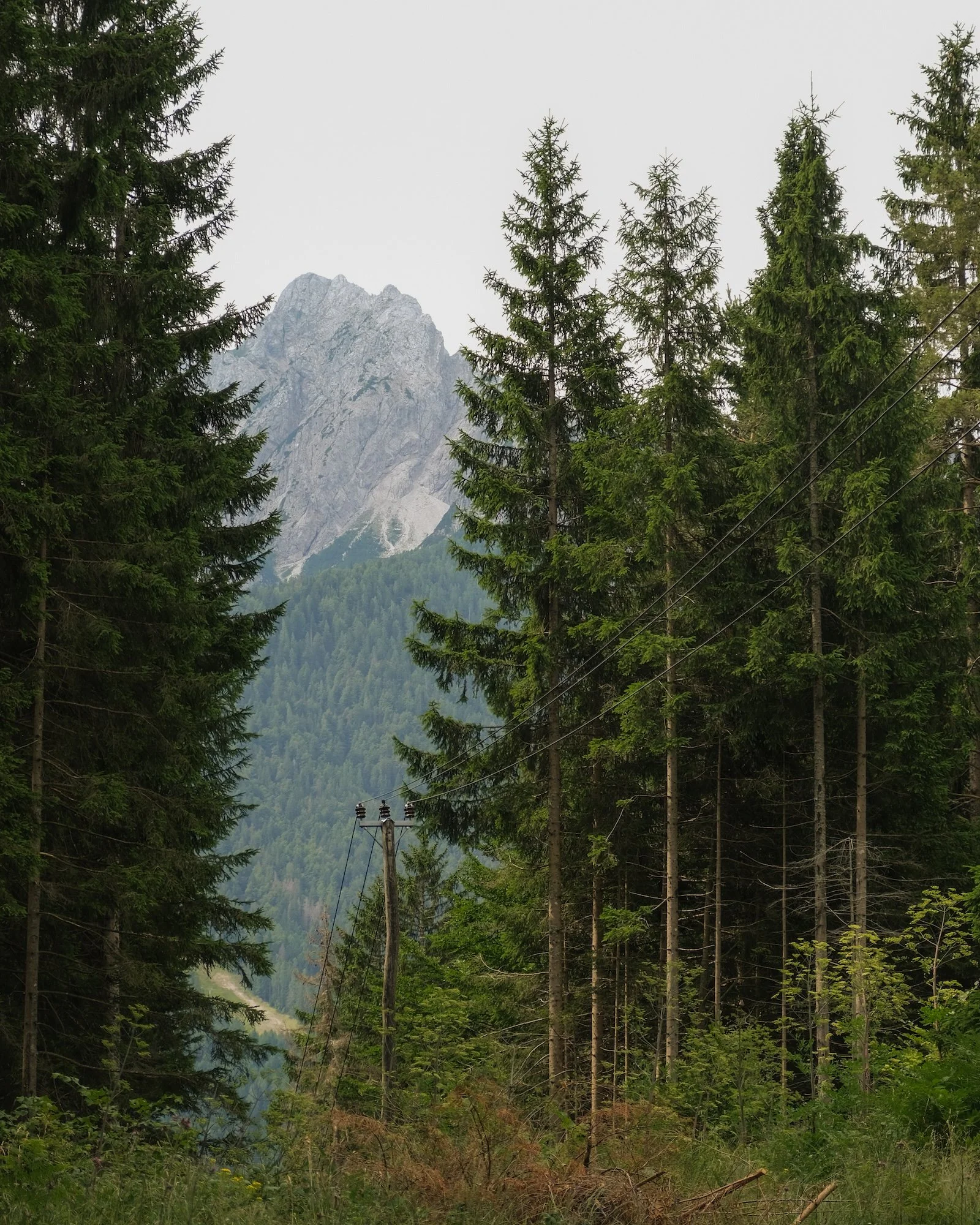 MonteForno_2025-06.jpg