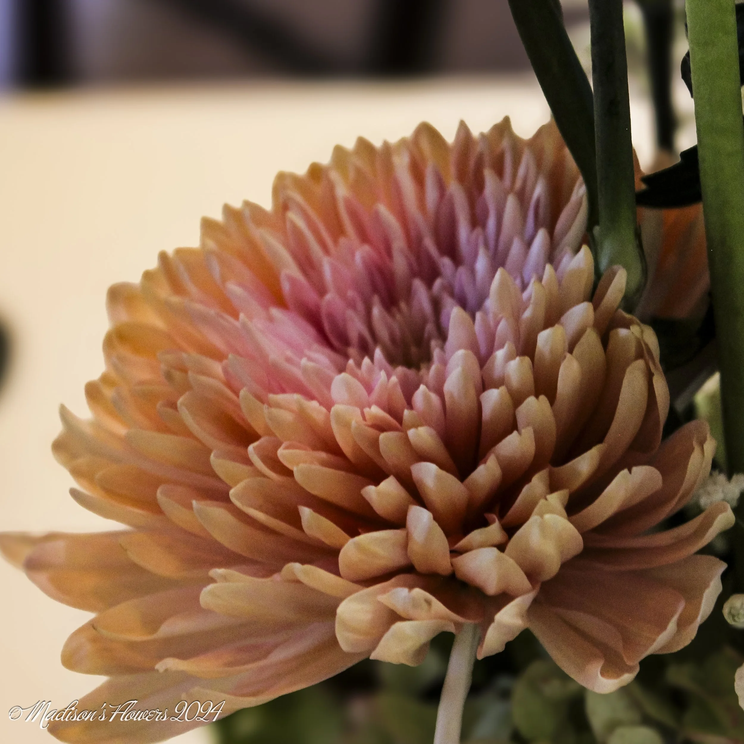 IMG_2096Hayle and Myron 08_30_24.jpg