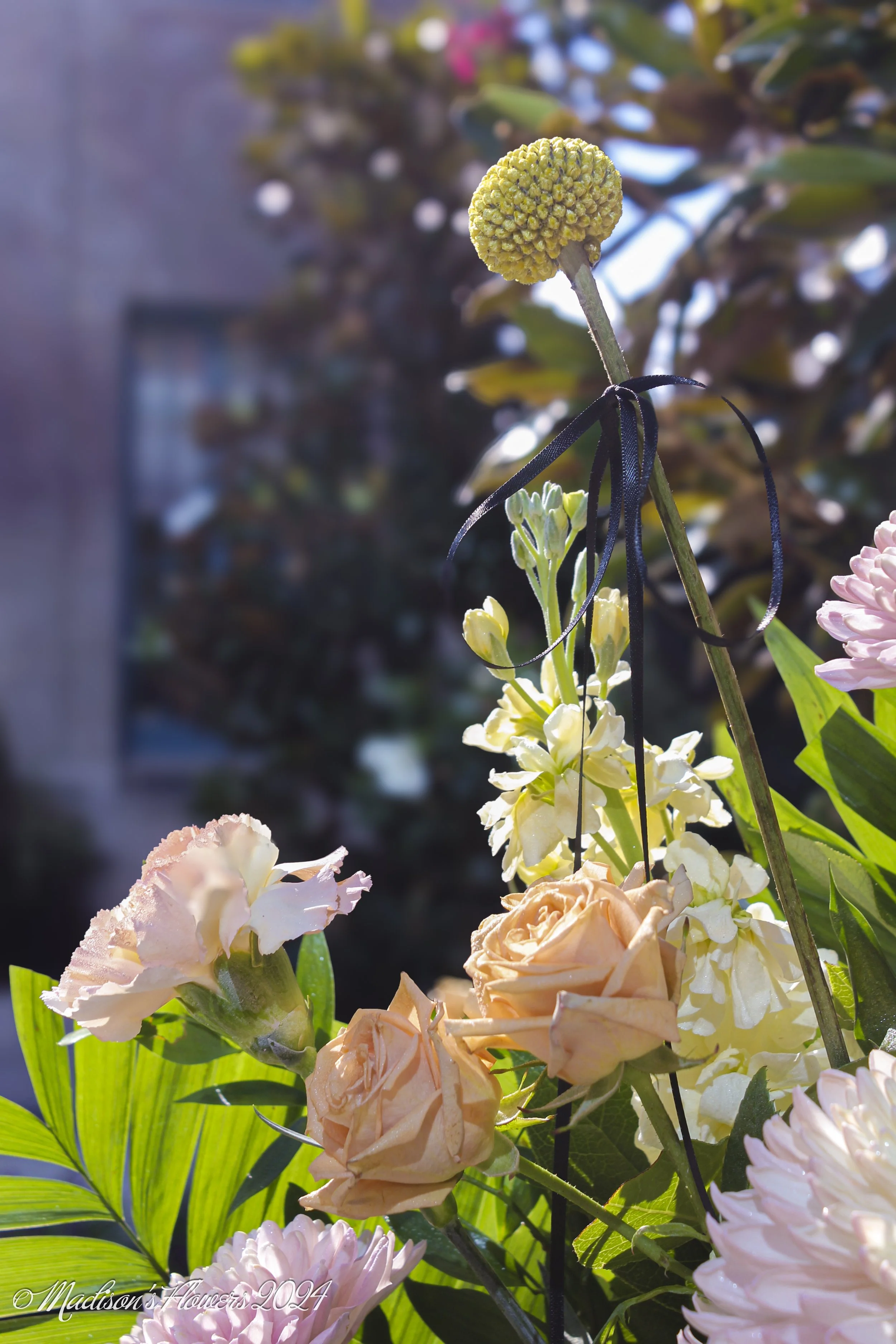 IMG_2083Hayle and Myron 08_30_24.jpg