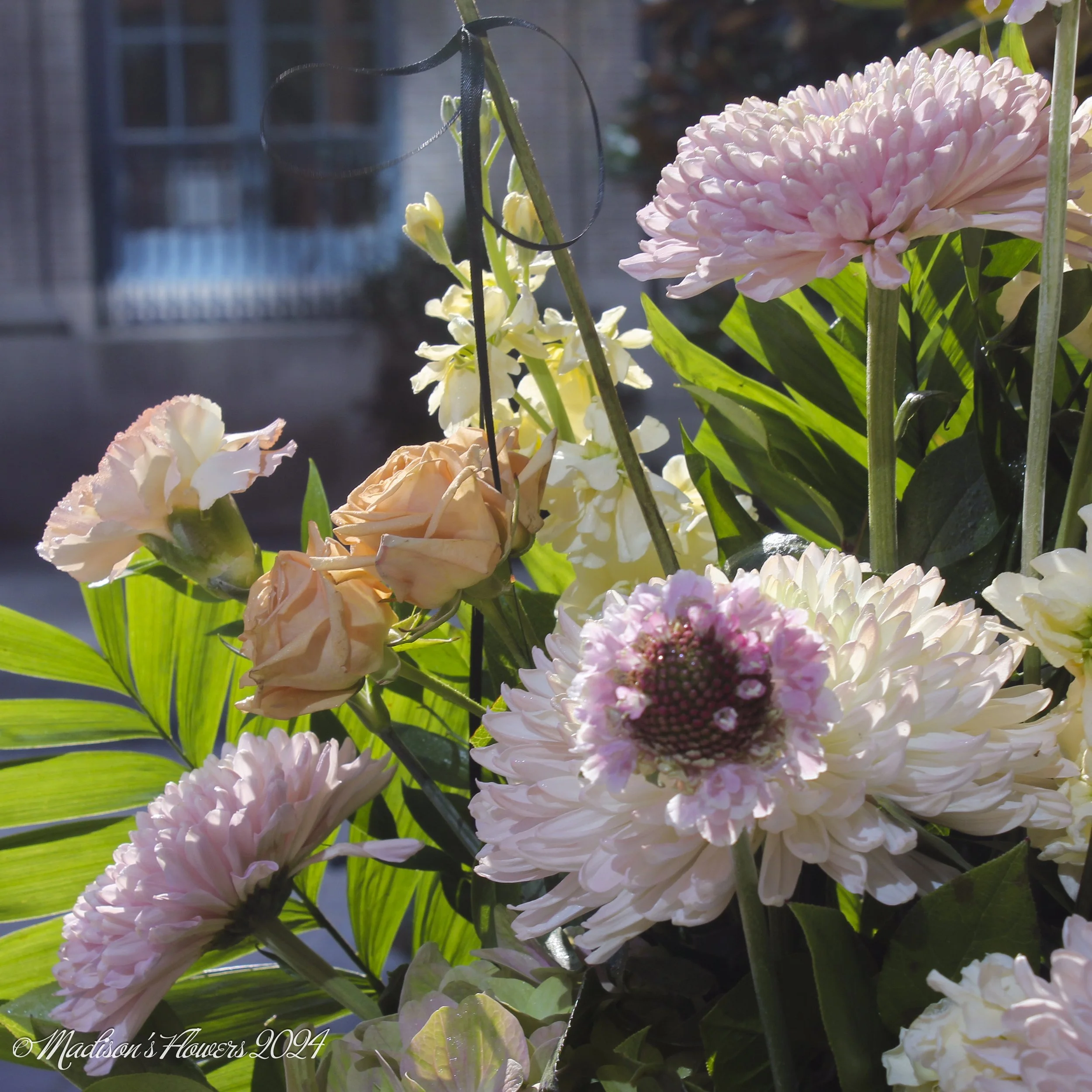 IMG_2081Hayle and Myron 08_30_24.jpg