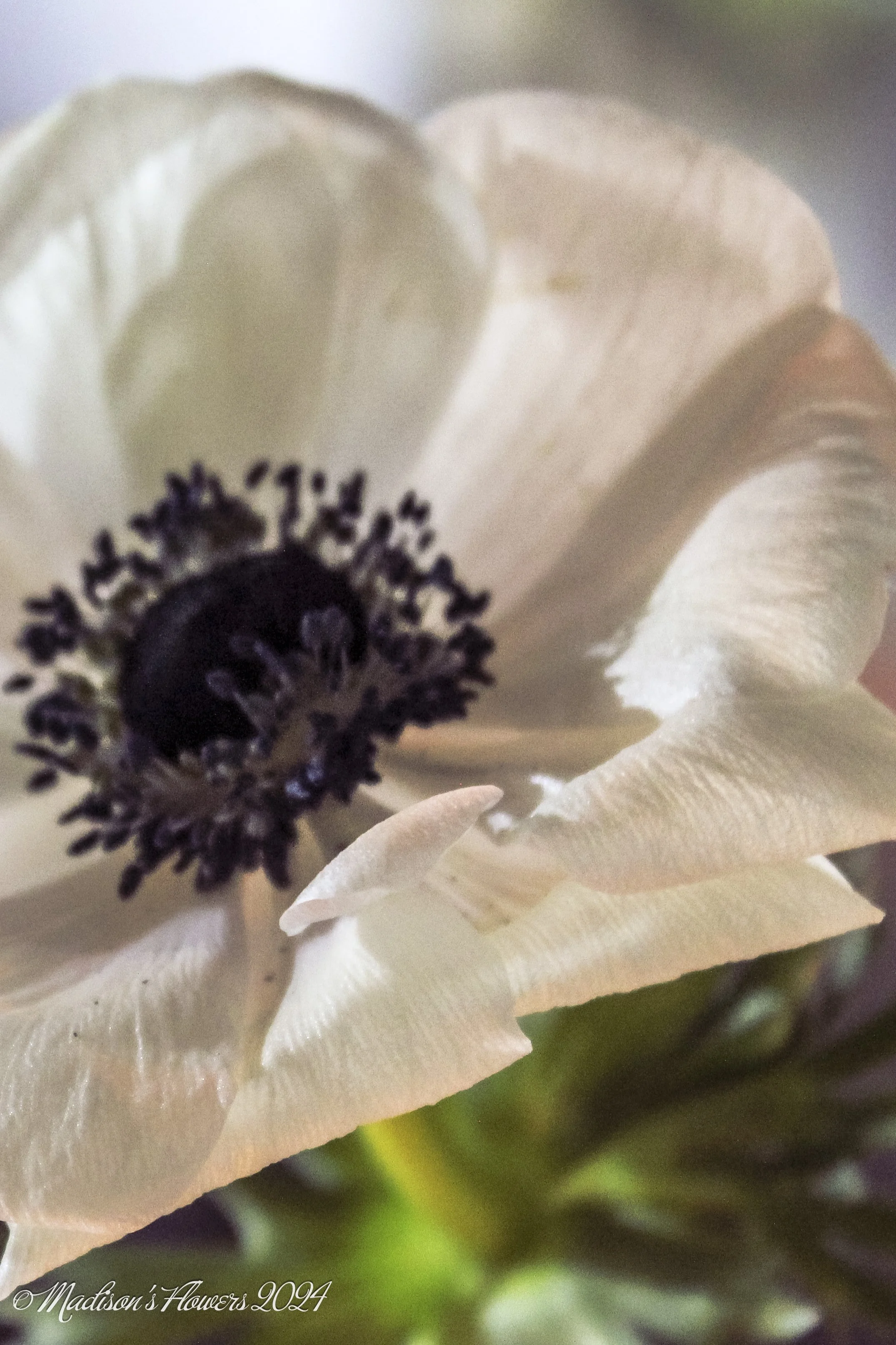 IMG_2242Hayle and Myron 08_30_24.jpg