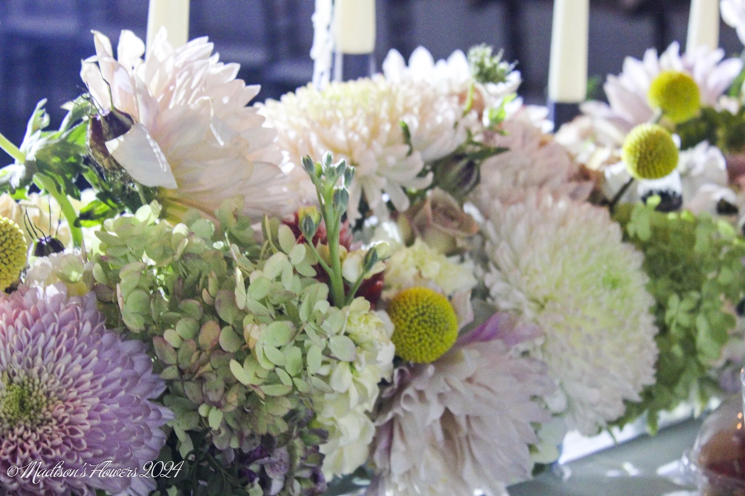 IMG_2210Hayle and Myron 08_30_24.jpg