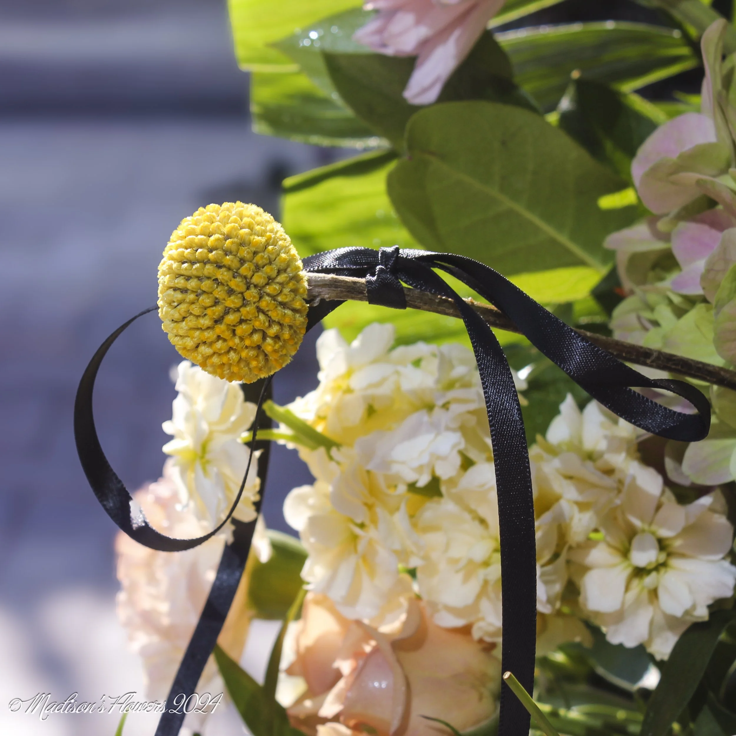 IMG_2082Hayle and Myron 08_30_24.jpg