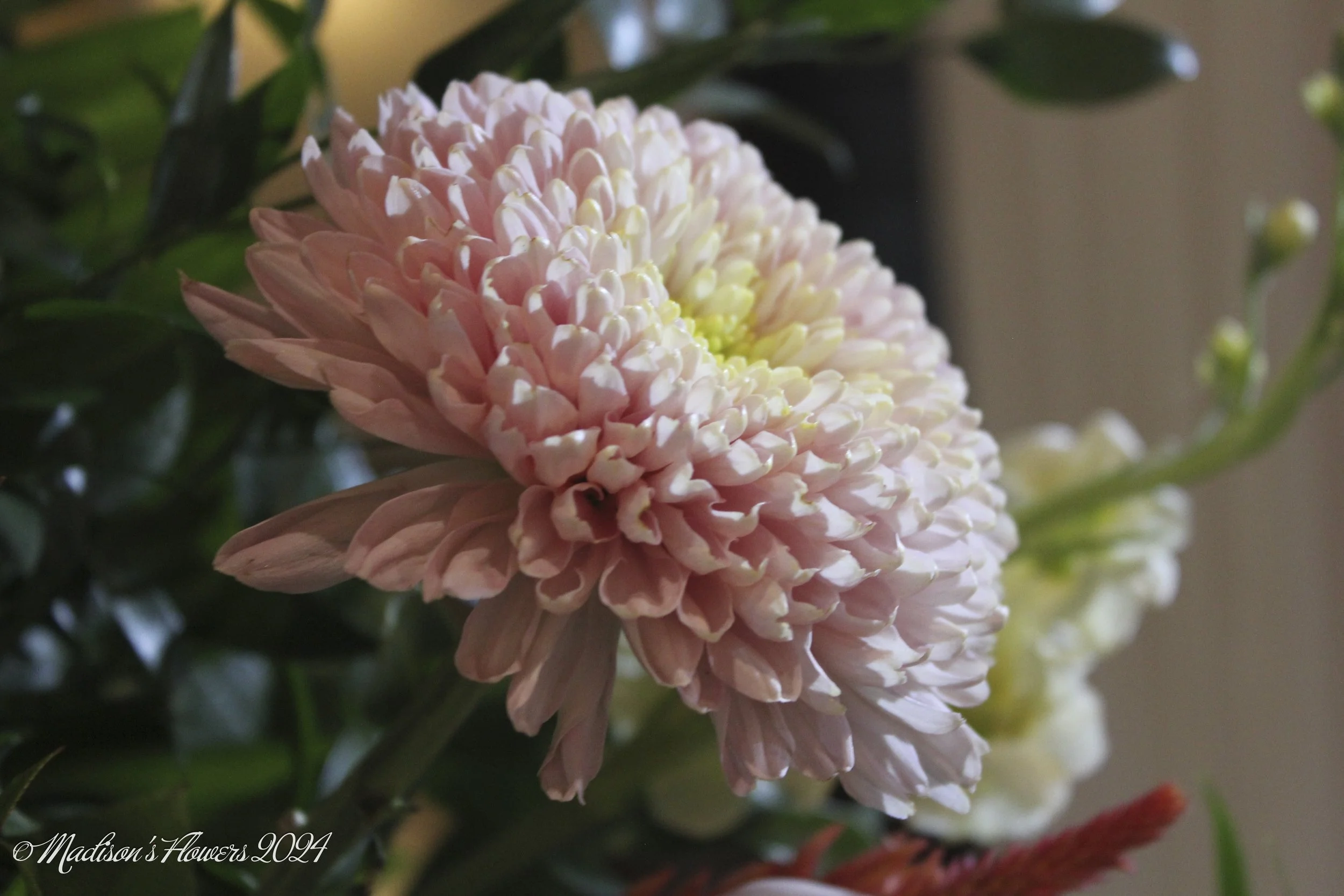 IMG_2144Hayle and Myron 08_30_24.jpg