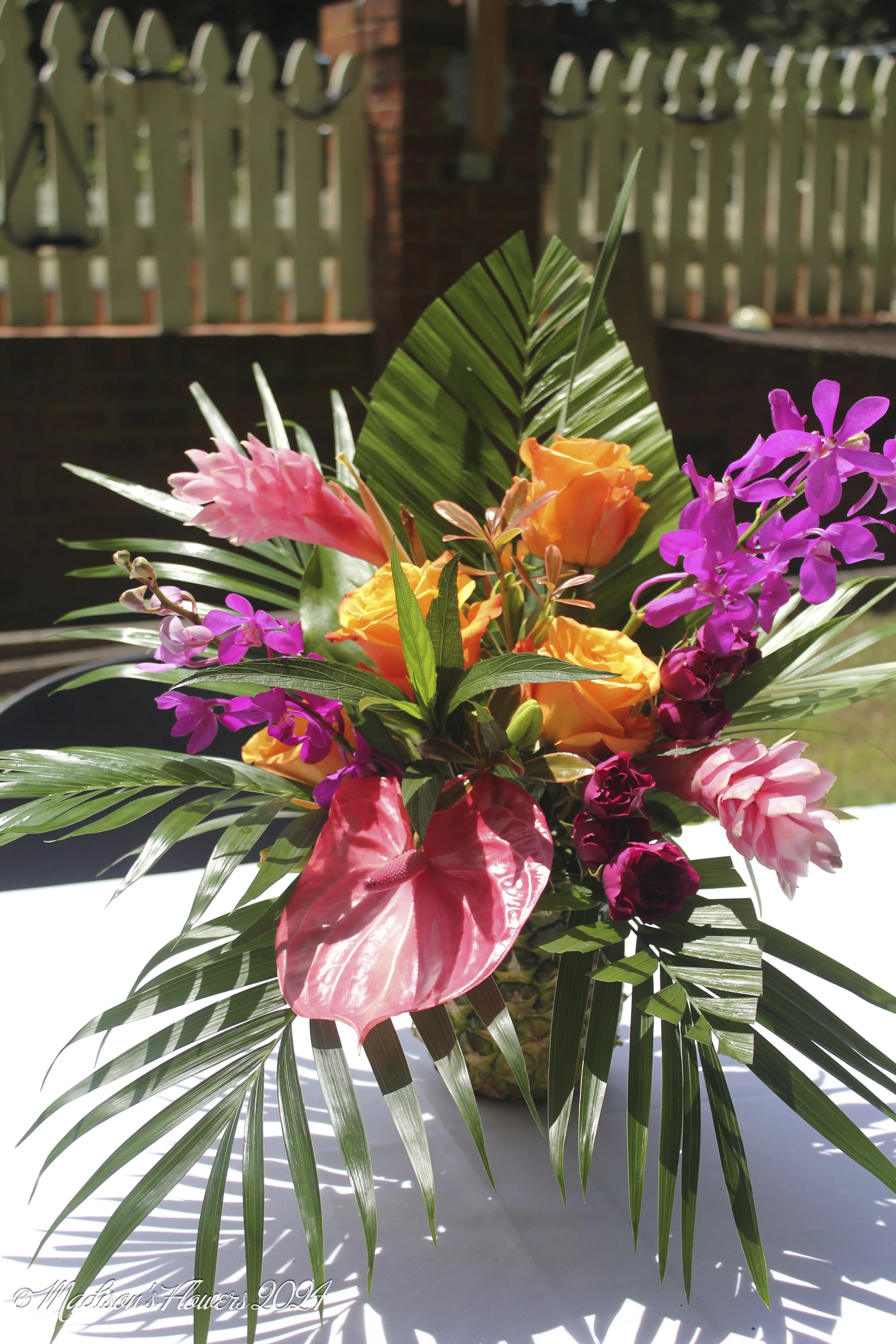 IMG_2031Sweet 16 Tropical 07_27_24.jpg