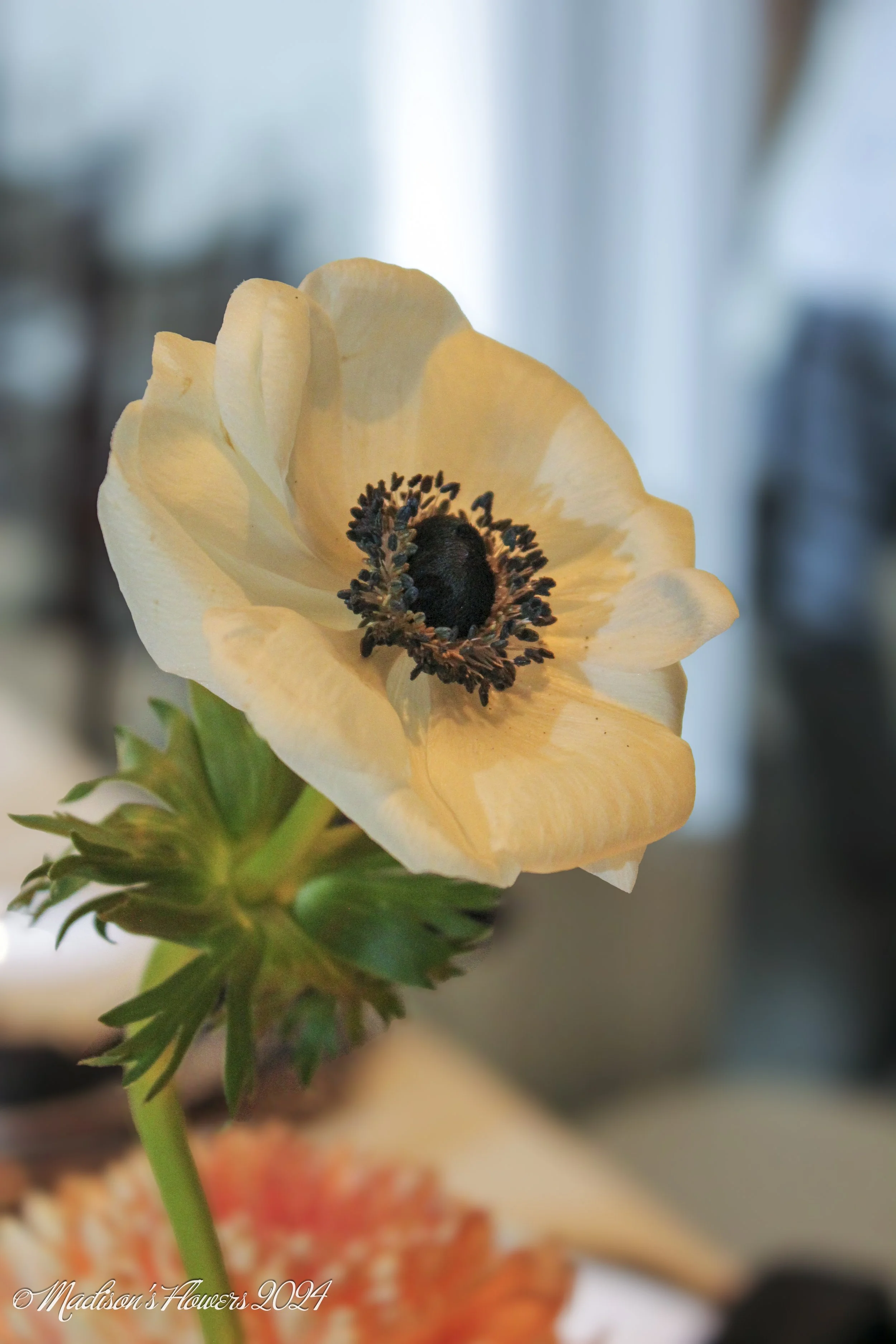 IMG_2119Hayle and Myron 08_30_24.jpg