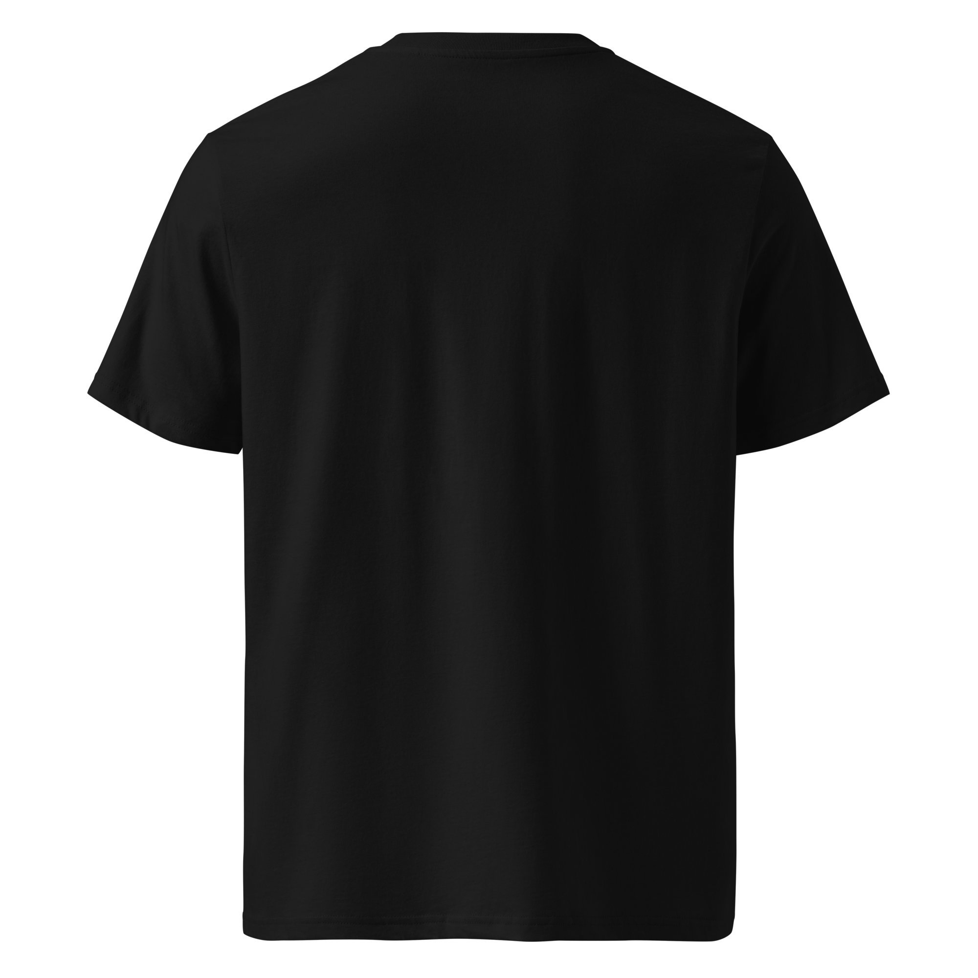 unisex-organic-ribbed-neck-t-shirt-black-back-69aee721e3917.png