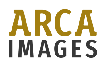 arca-logo-reversed.png