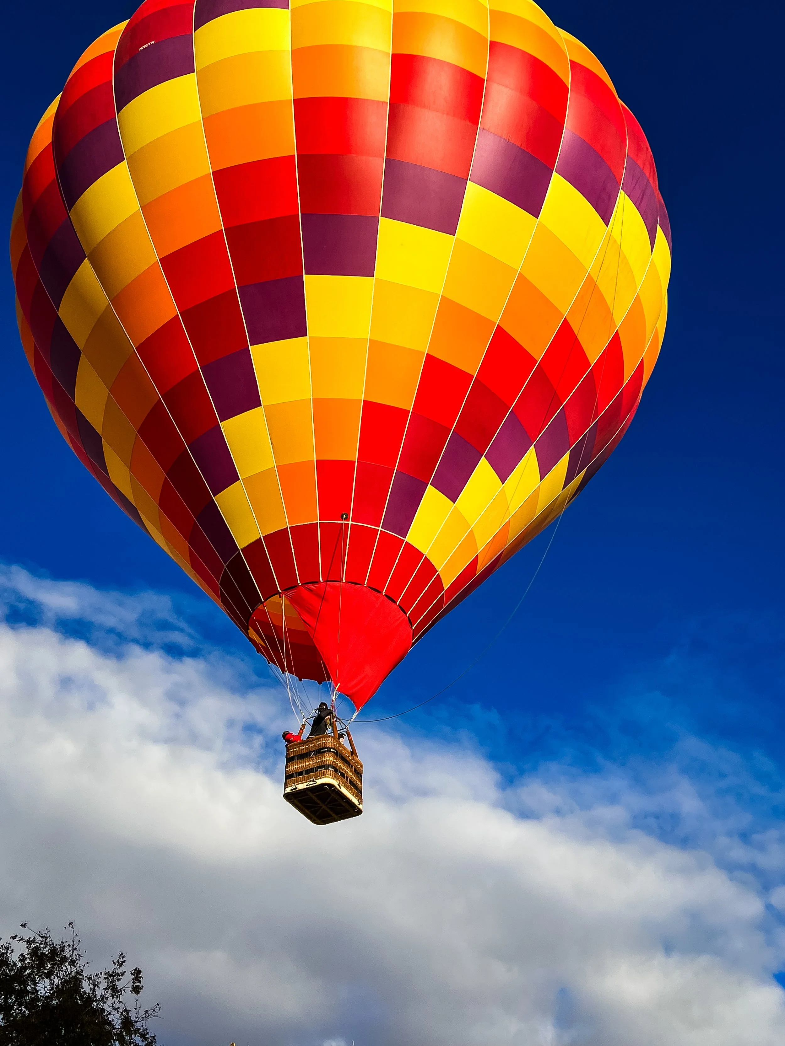 Contact — Zion Balloons Zion Hot Air Balloon Tours in Southern Utah