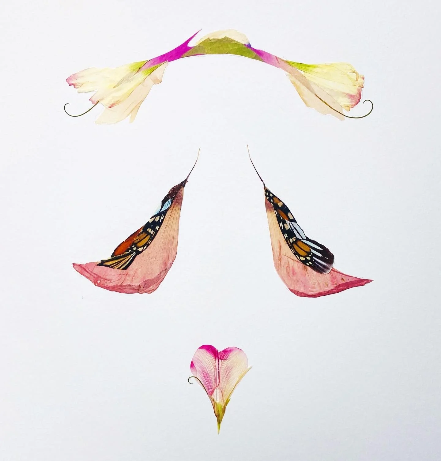 Lovebirds FORSALE.jpg