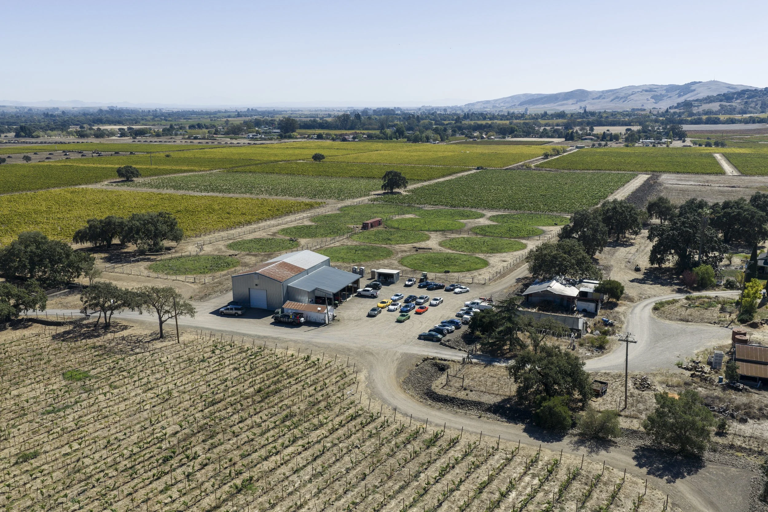 DJI_20261004041650_0262_D.jpg