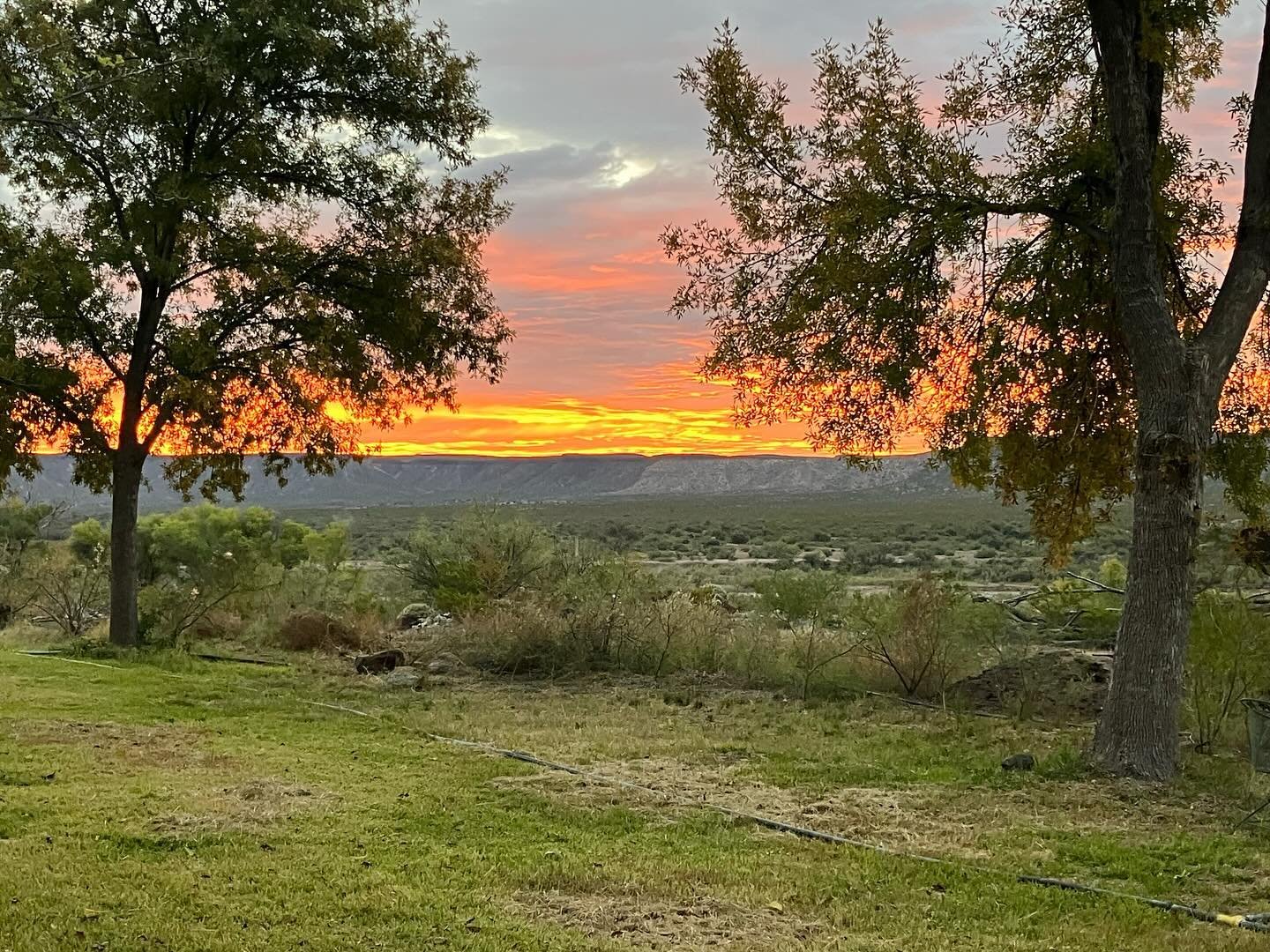 89 Alamito Creek Rd. 19.99 Acres in the secluded Casa Piedra area just south of Marfa. This stunning property with epic views from every angle has a well maintained 2 Bedroom / 1 Bathroom home / garage &amp; shop / creek bed frontage &amp; old growth