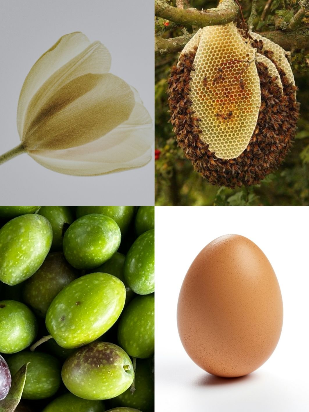 petjana-oval.jpg