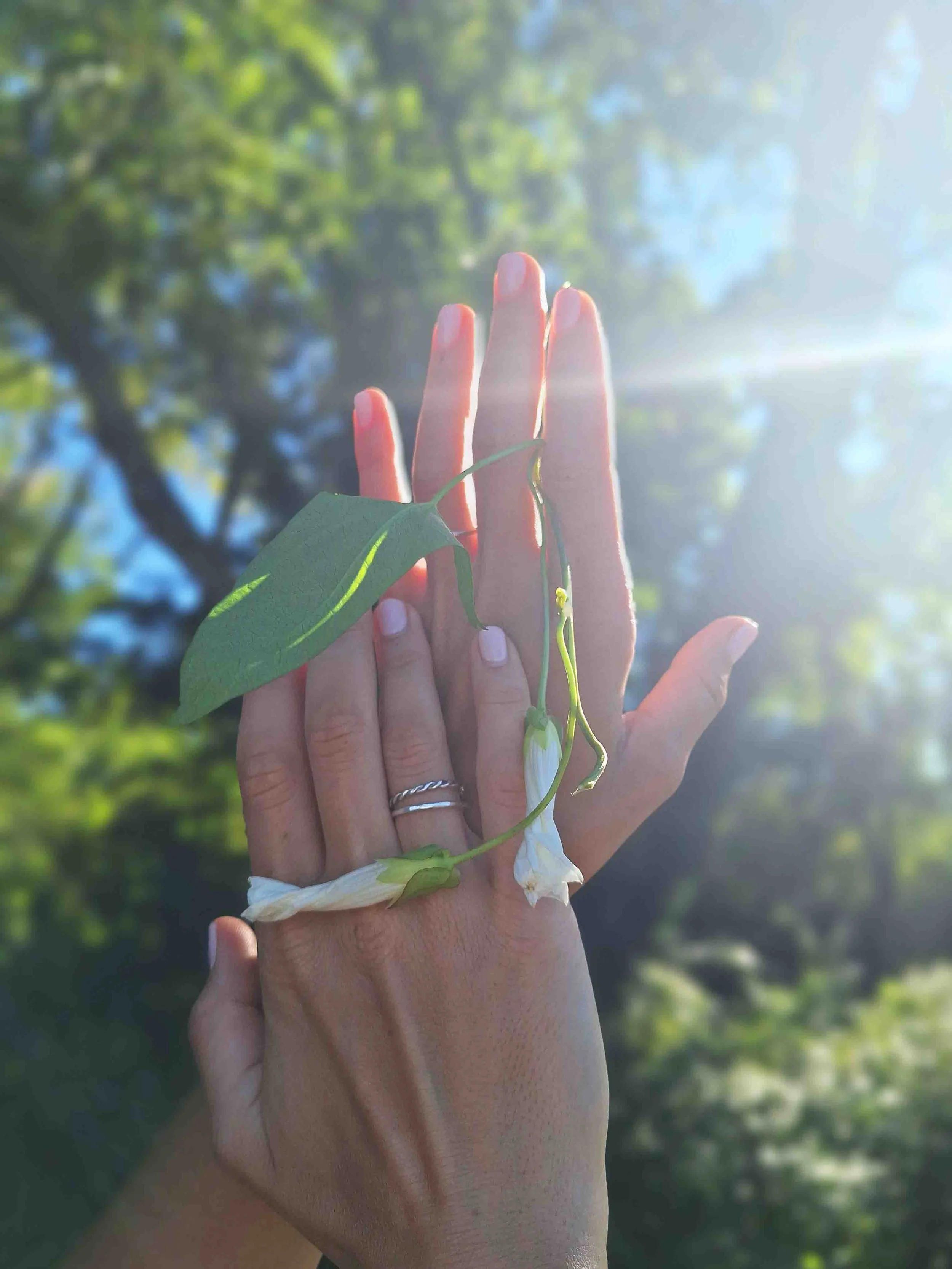 ring_naja-mila-petjana (4).jpg