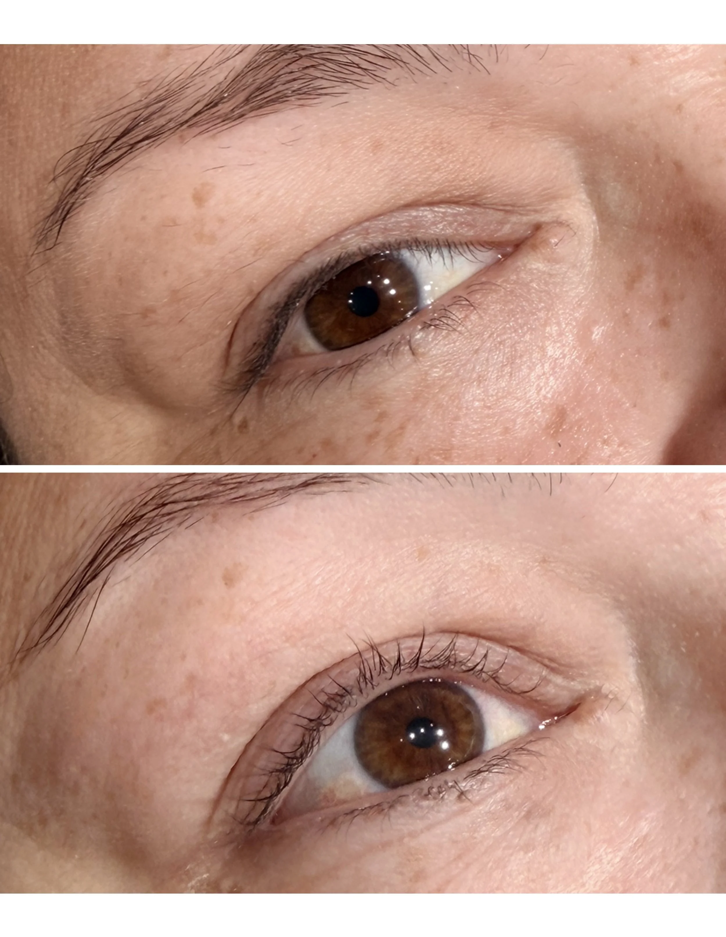 Before and After Korean Lash Lift 