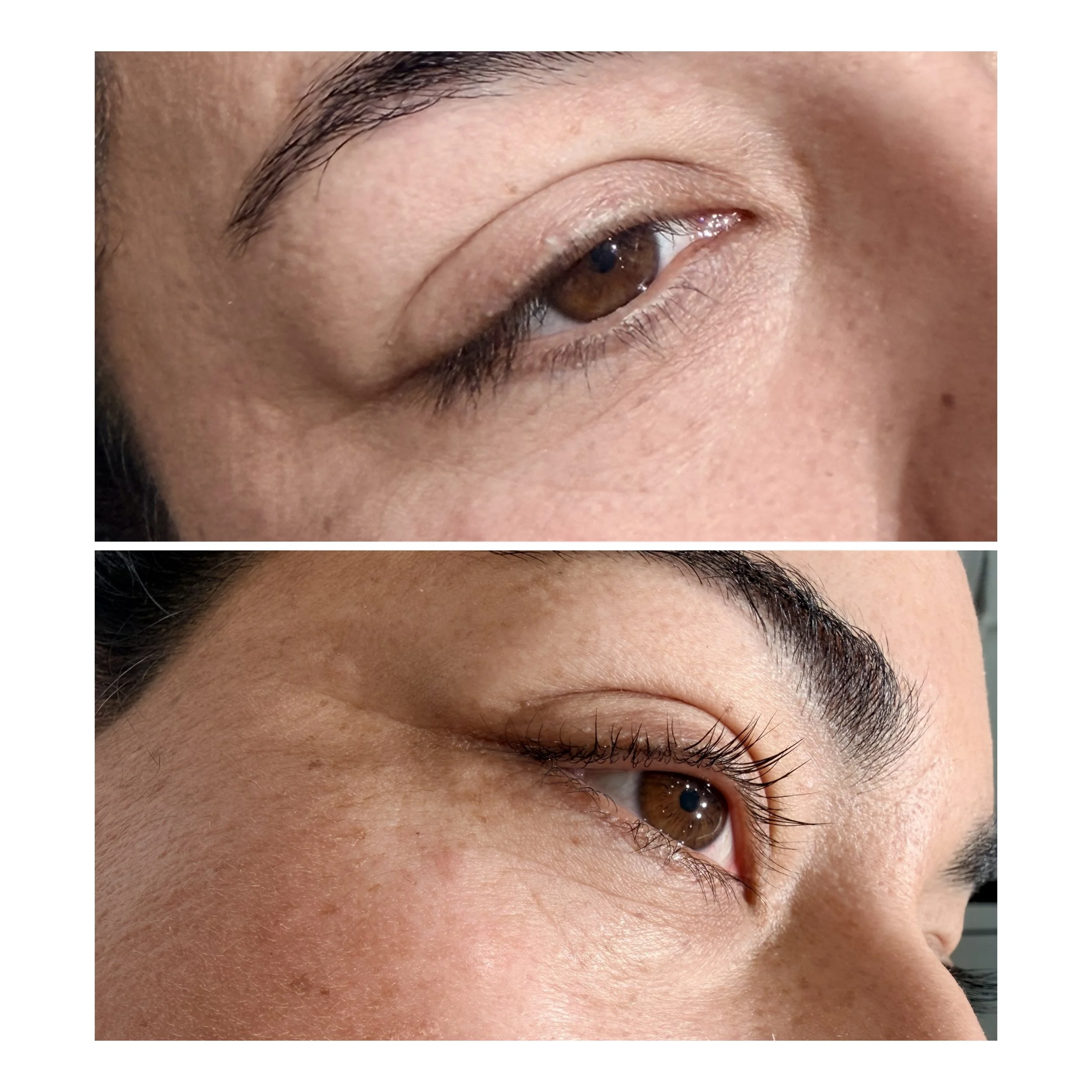 Before and After Korean Lash Lift 