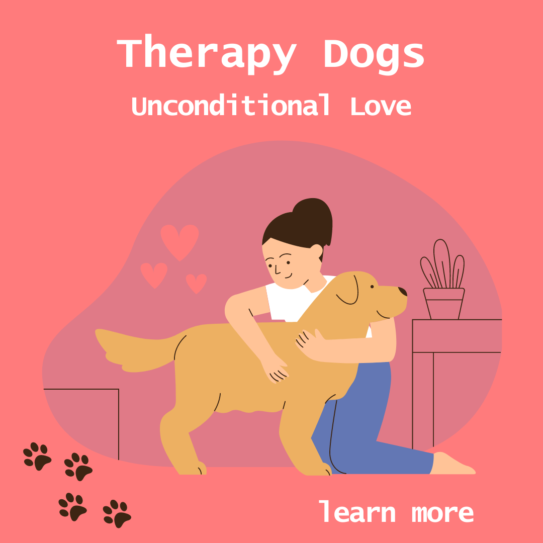 Support Services Accelerated Schools Of Overland Park support-services-accelerated-schools-of-overland-park