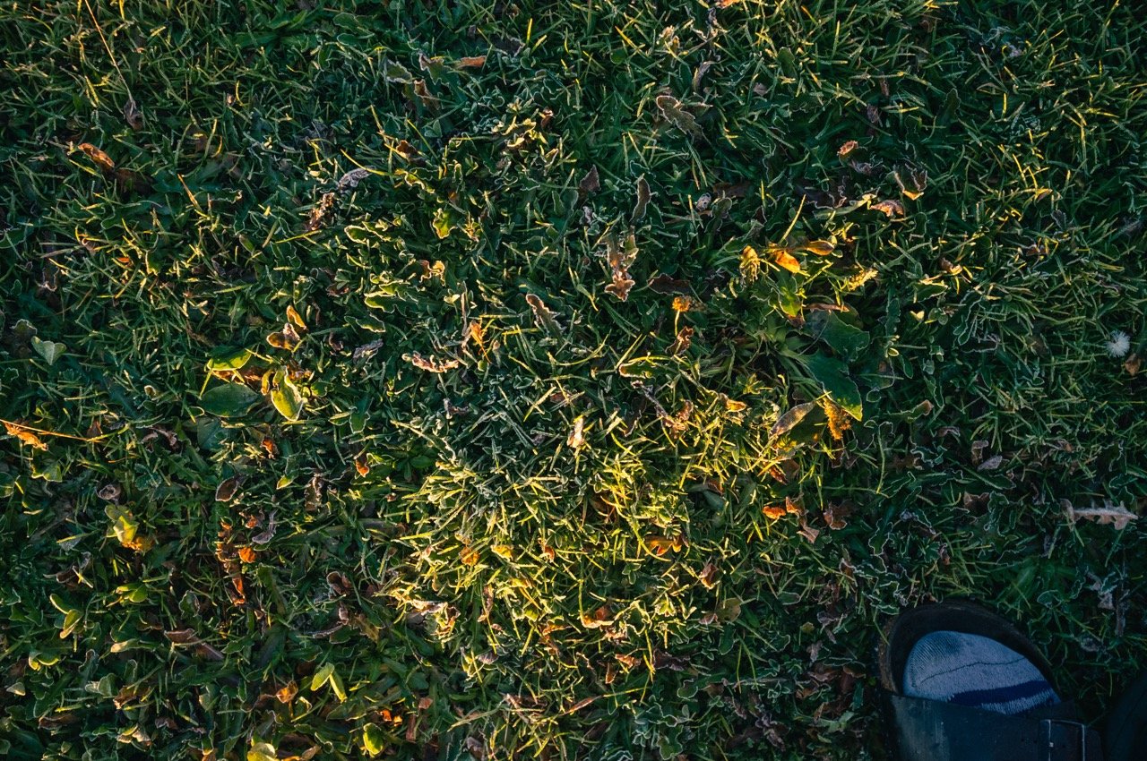 17.09.18 TNR Fuji (76 of 273) Large.jpeg
