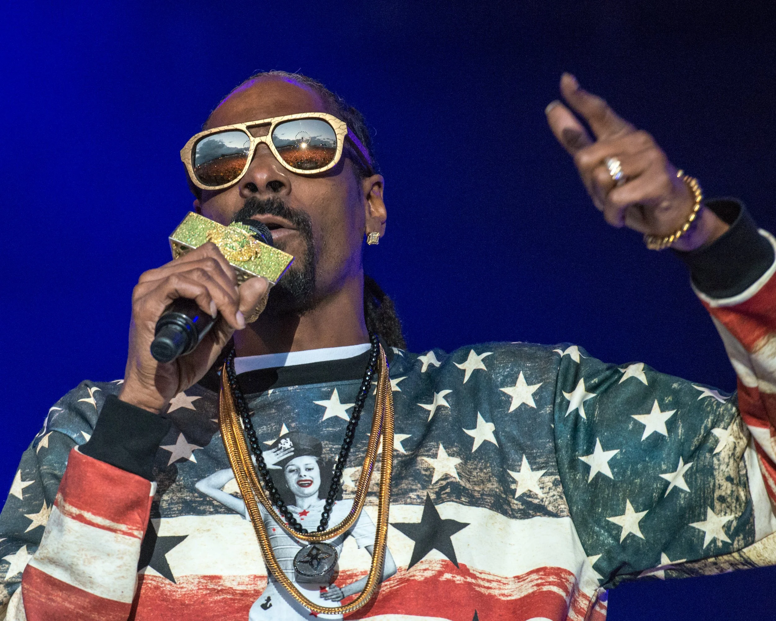 07.06.14 - Parklife 2014 - Snoop Dogg (3 of 3).jpg
